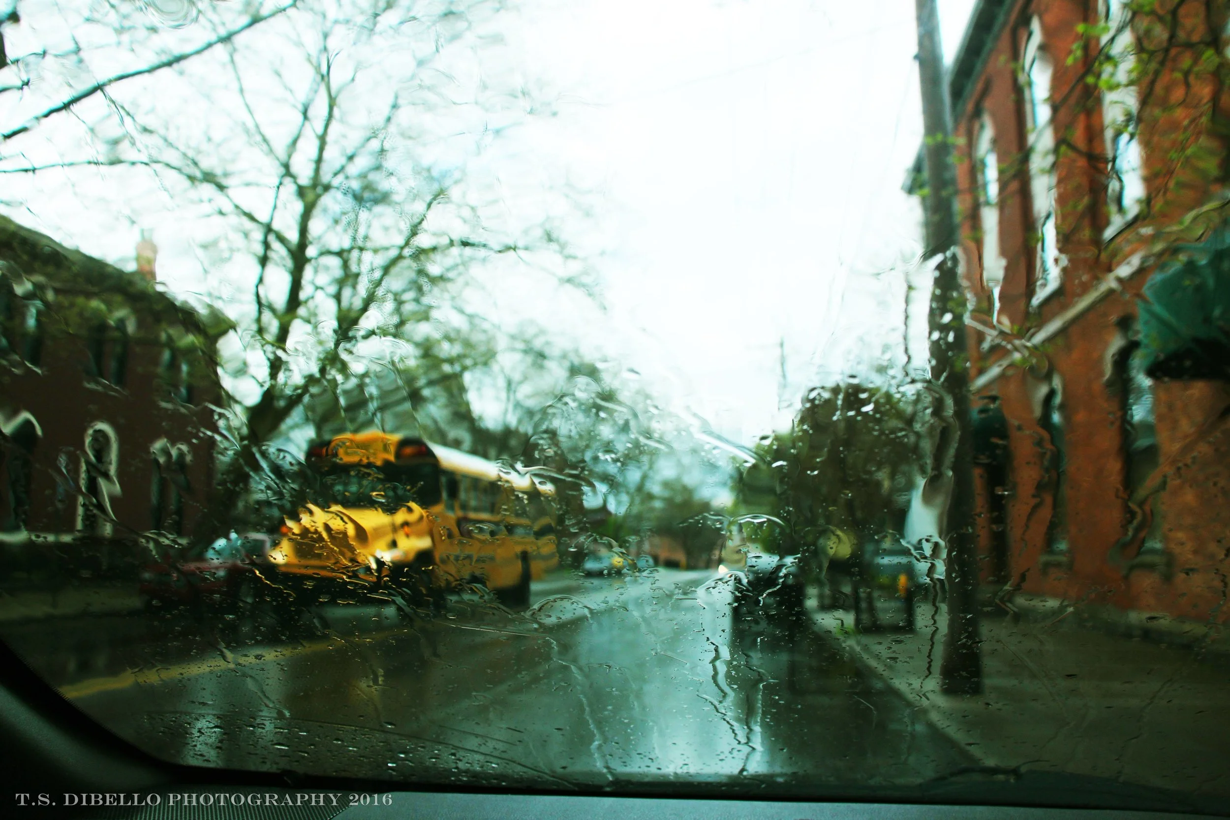 IMG_5845.2.c.jpg