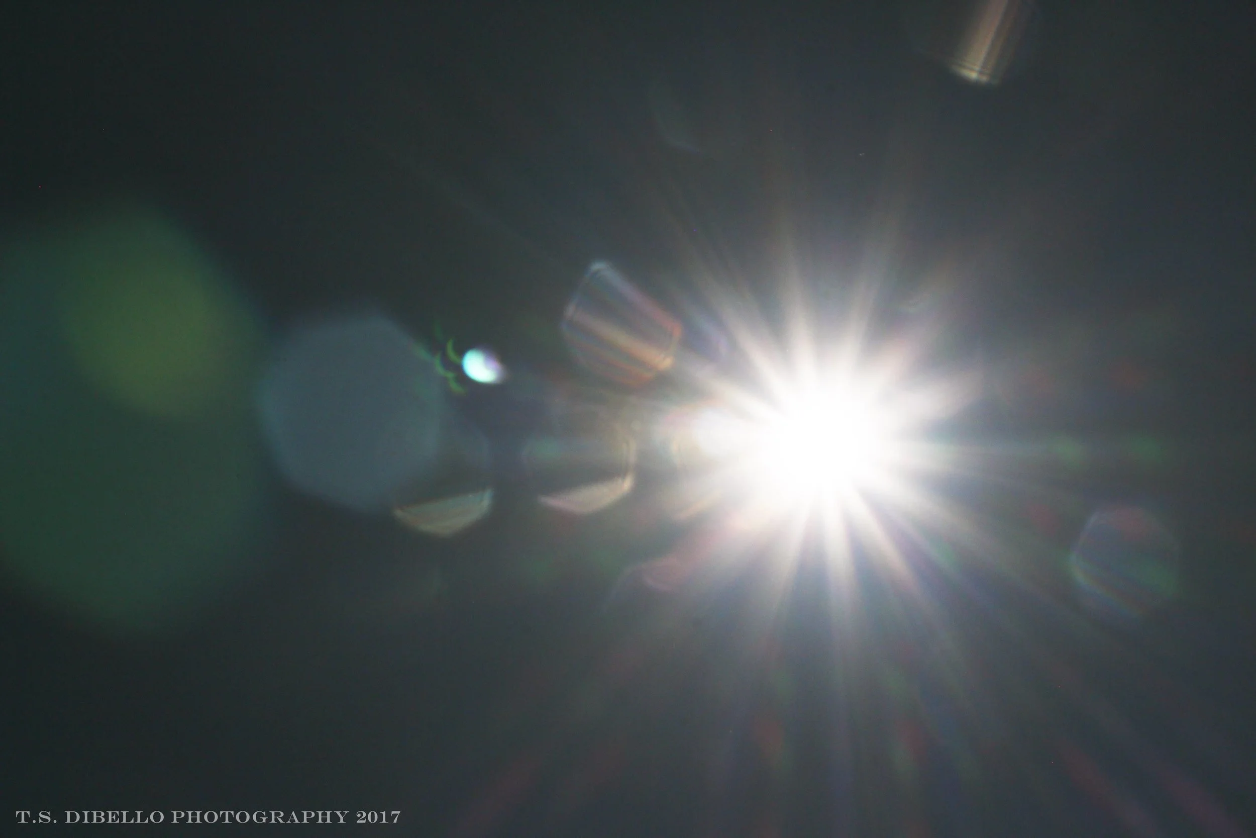 IMG_6753.2.c.jpg
