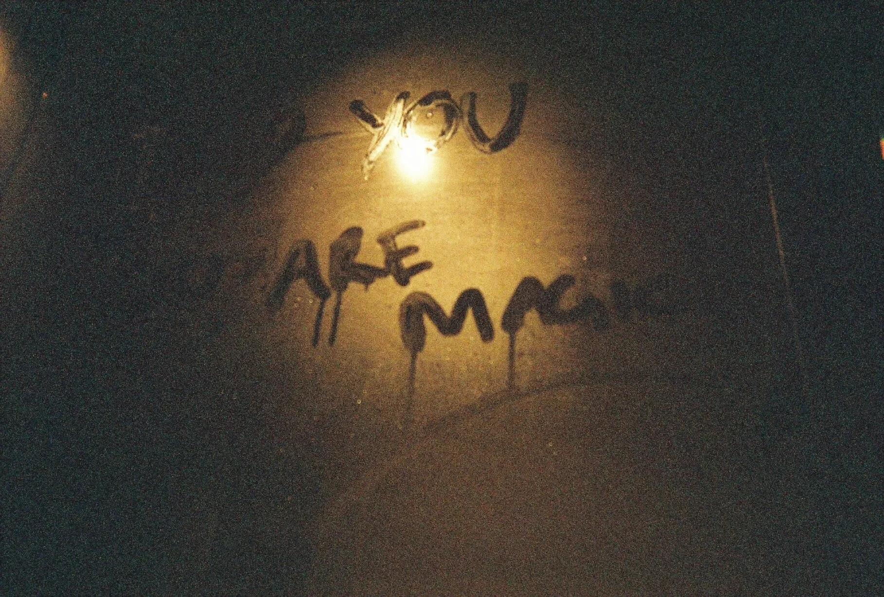 38500004.jpg