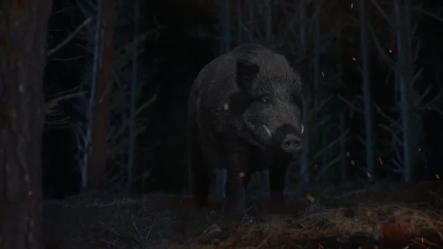 JED'S COFFEE - CAMPFIRE 15" TVC