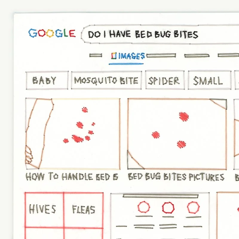 Riley_Brady_artist_illustration_embroidery_bed_bug_800x800.jpg
