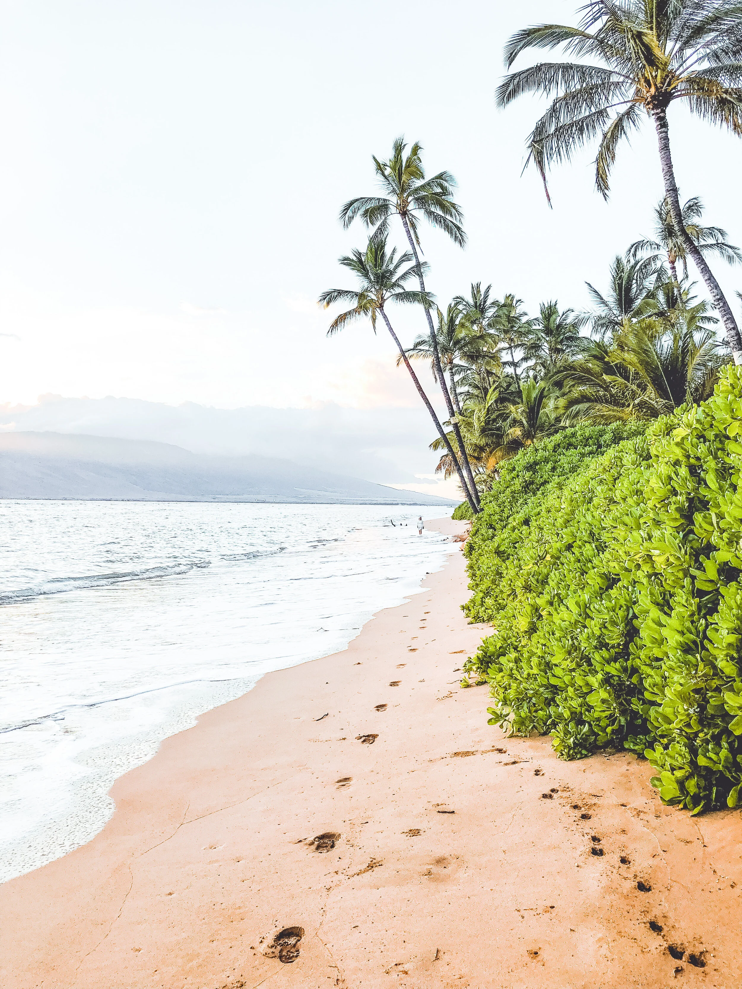 neora-aylon-9QoDLDEu9Kg-unsplash 2.JPG