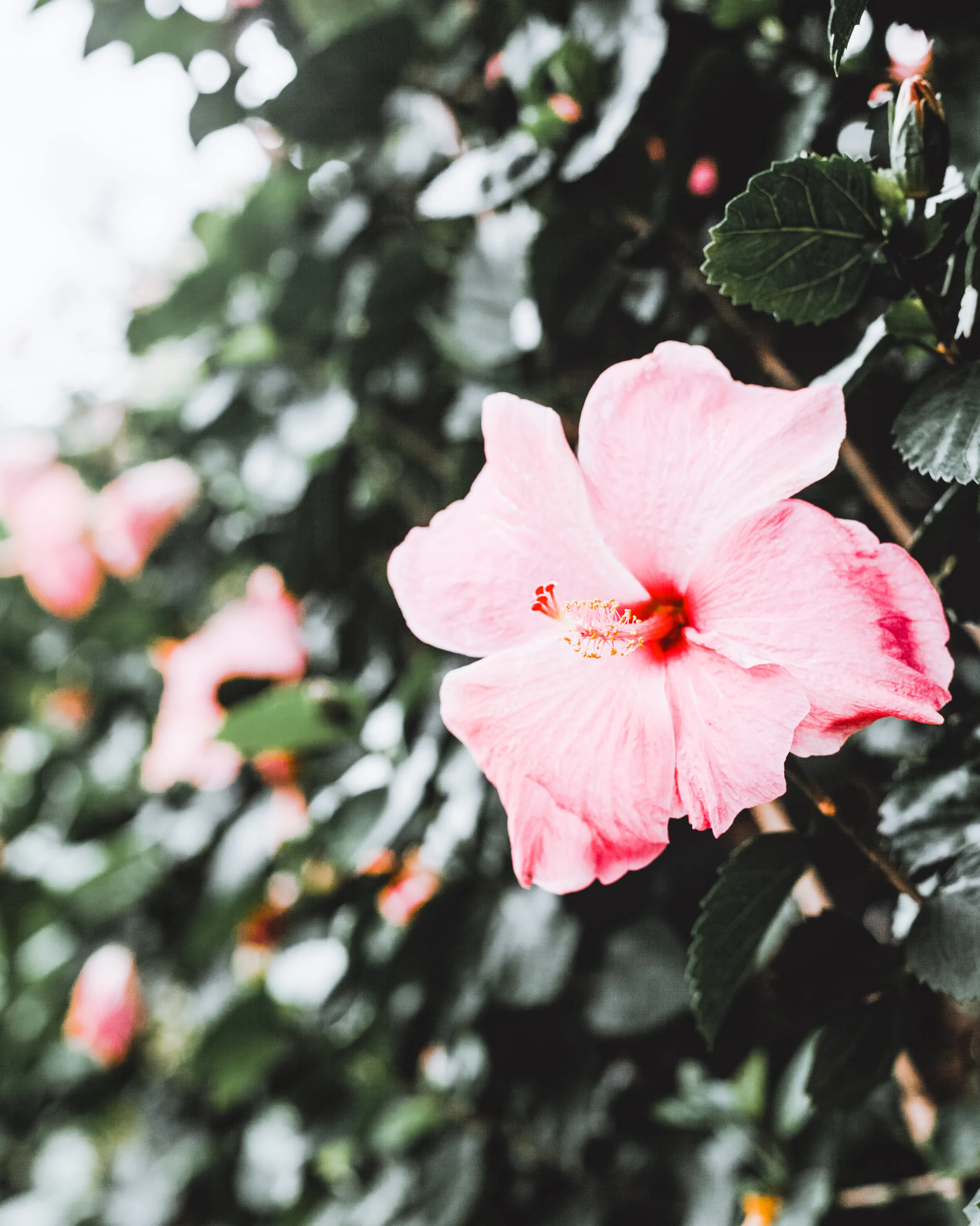 georgia-de-lotz-bS--fjzV0po-unsplash 2.JPG