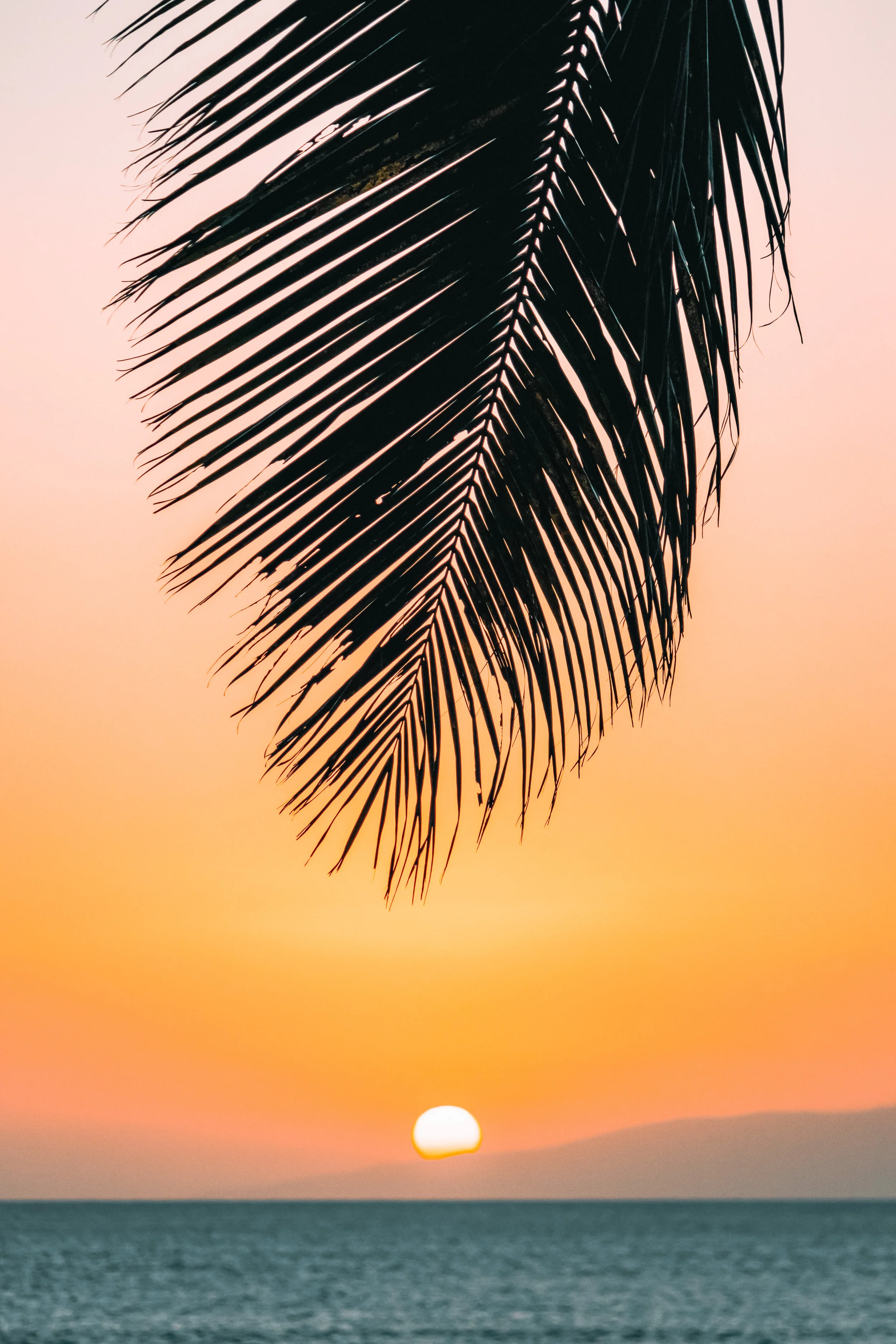 evan-brandt-DiabEvf5dIk-unsplash 2.JPG