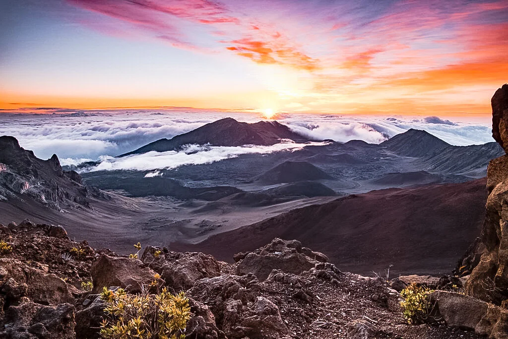 41597385872_f4ed8c833f_b 3.JPG