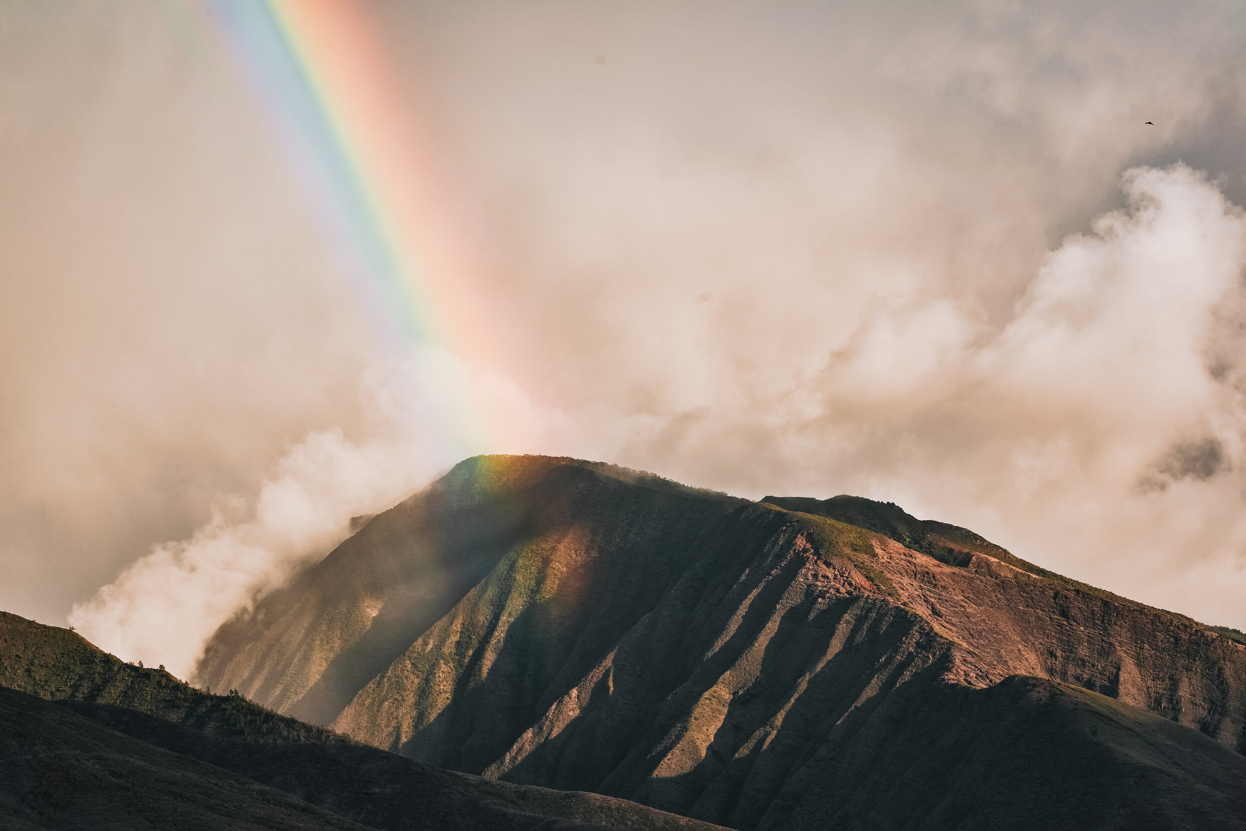 cate-bligh-muT-aIKpp00-unsplash 3.JPG