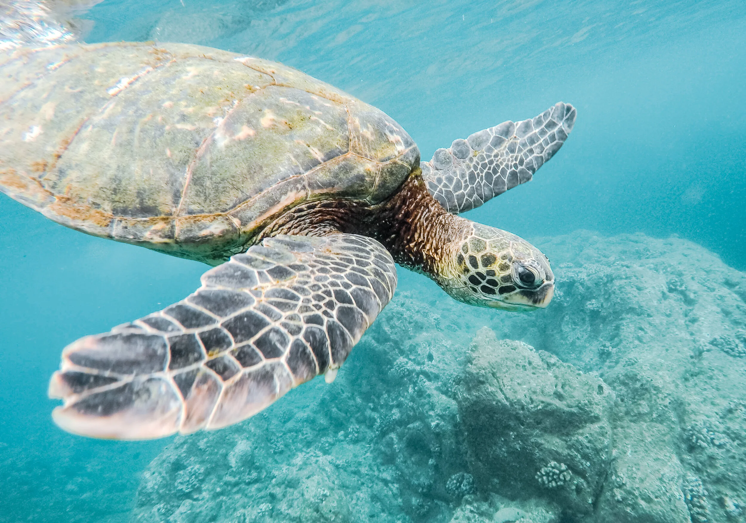 jeremy-bishop-Gr-JzepWSuA-unsplash 2.JPG