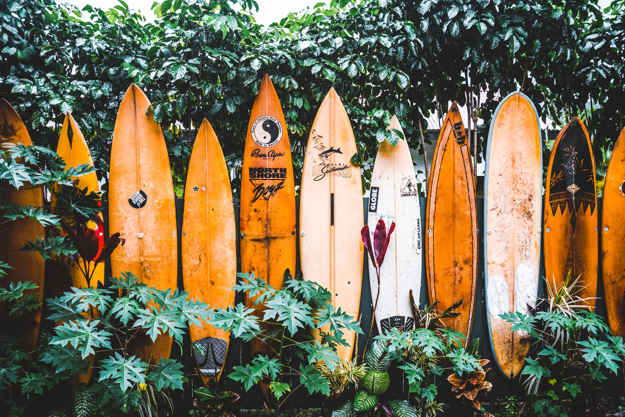 tatonomusic-FFCgotROOTY-unsplash 2.JPG