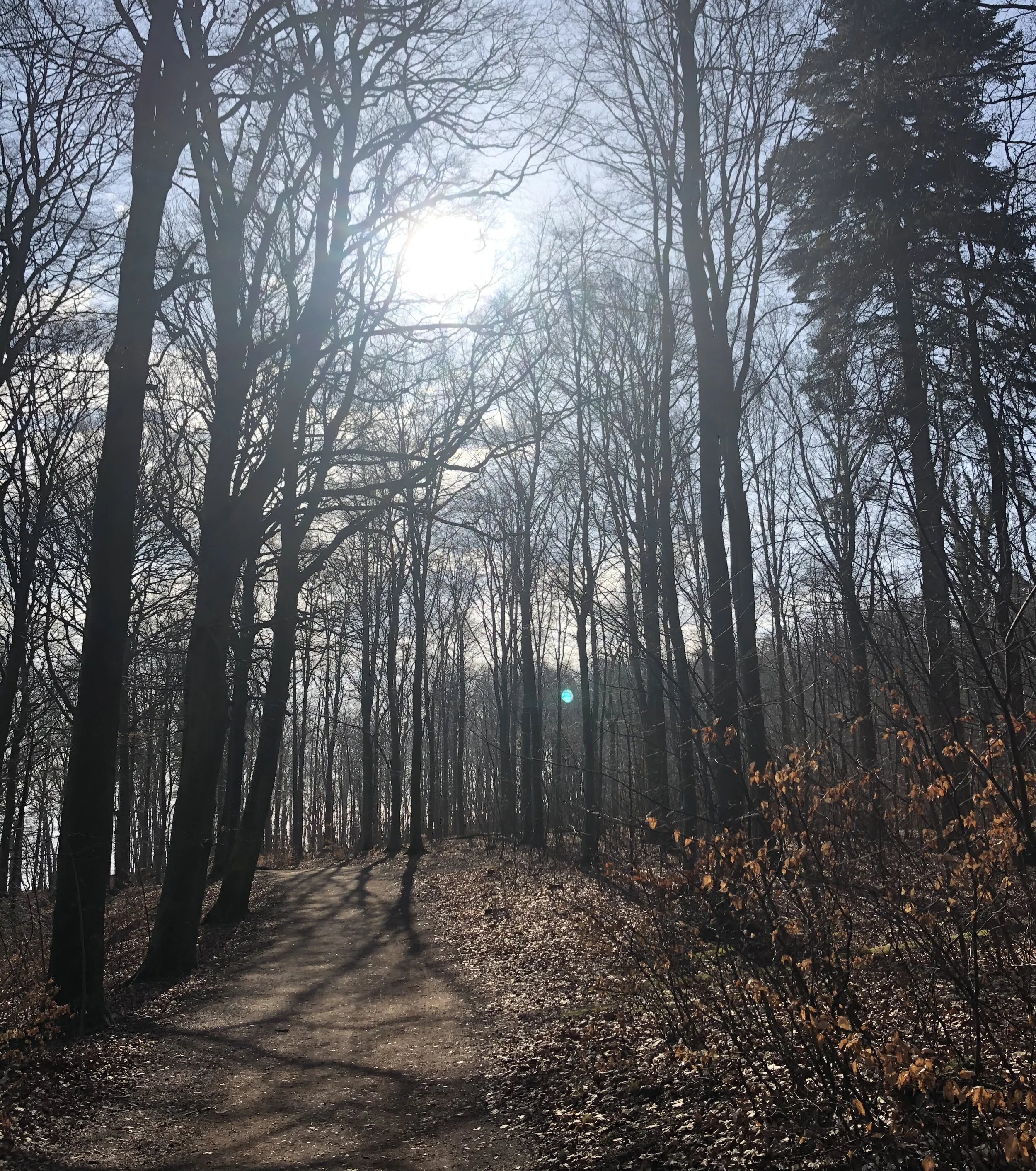 Gå, så går det nok !