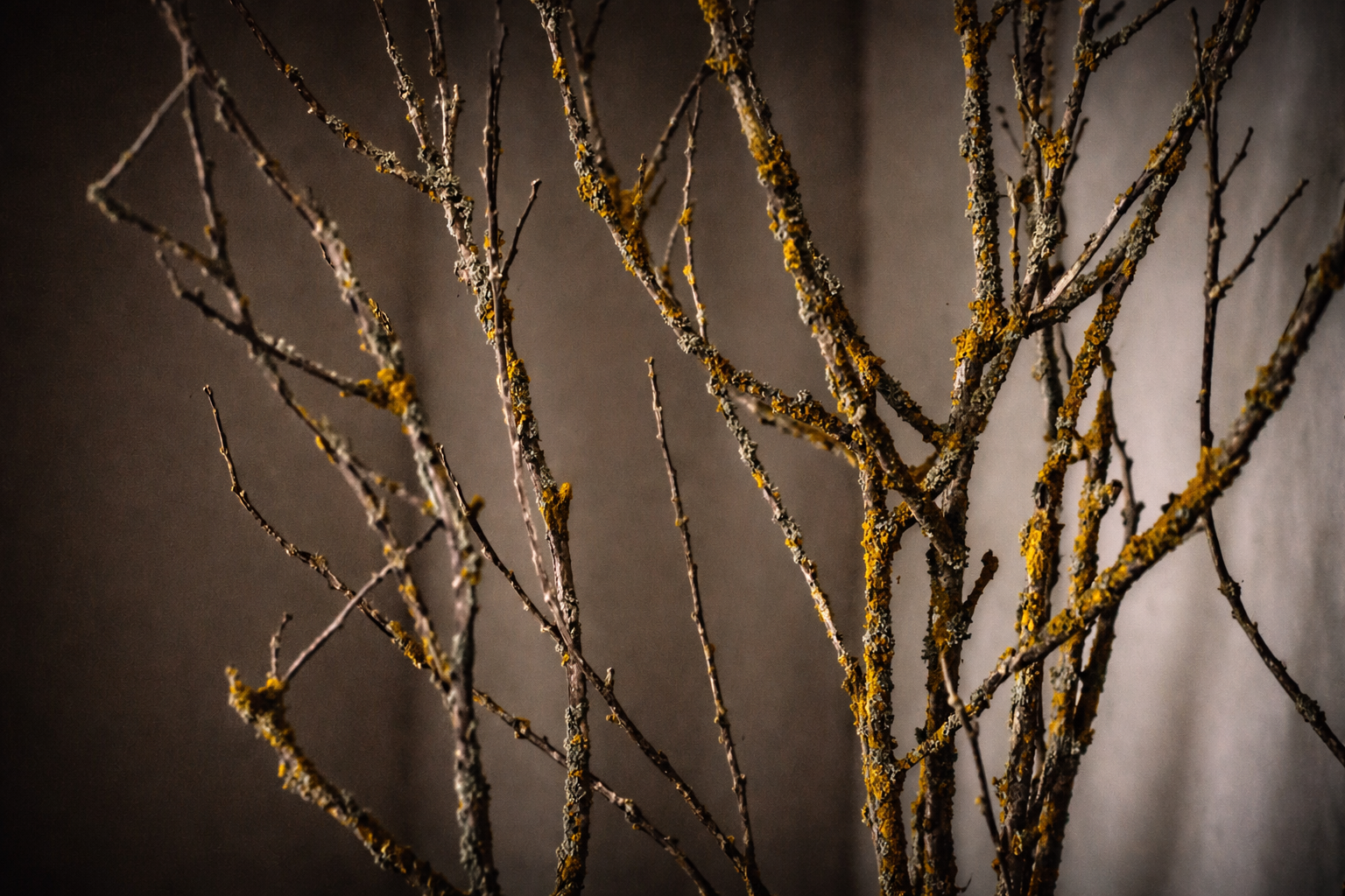 ChatGPT Image 17. mar. 2026, 23.03.06.png