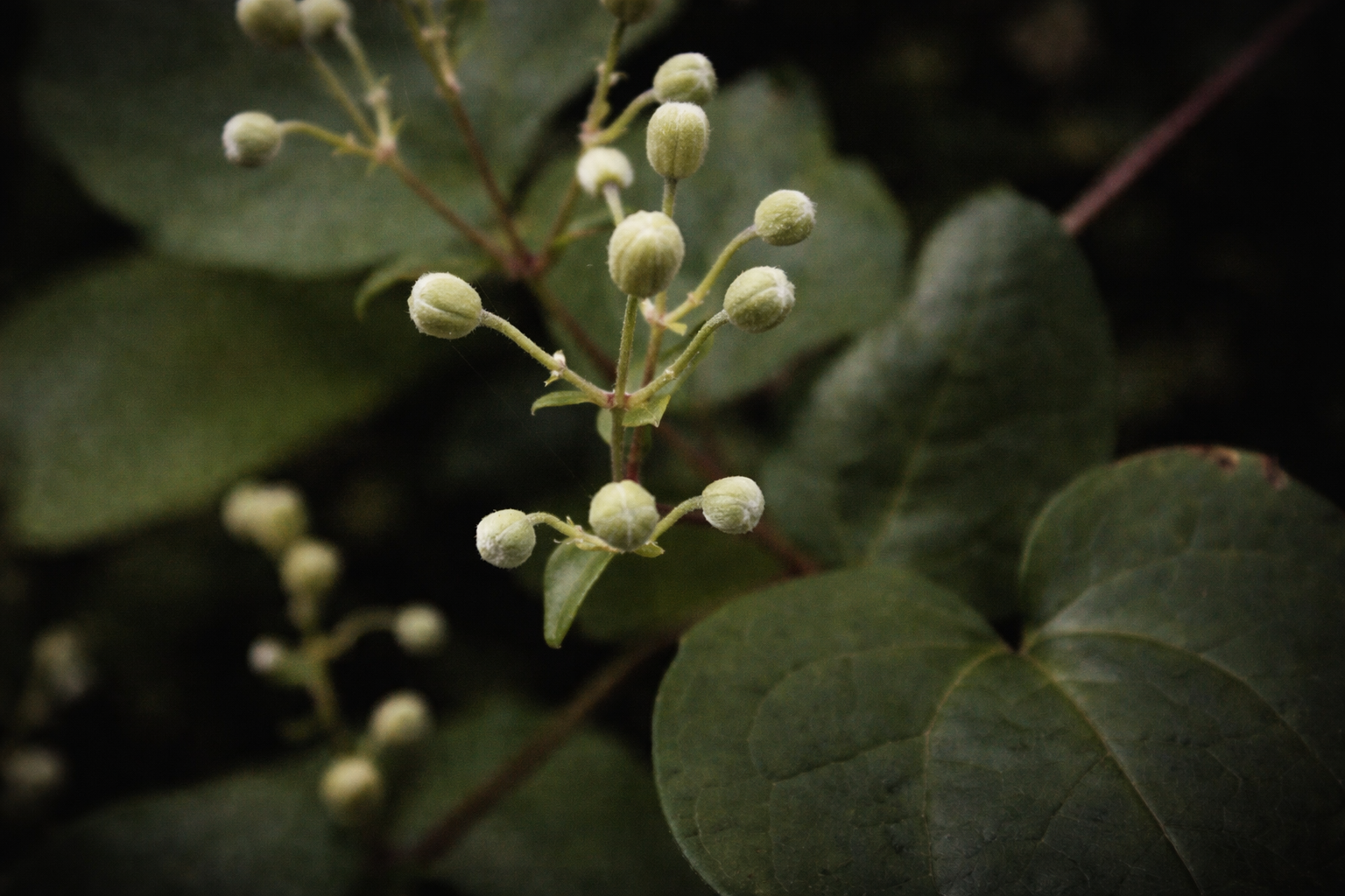 ChatGPT Image 17. mar. 2026, 22.27.07.png