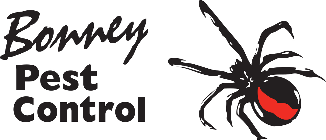 Bonney Pest Control | Victor Harbor Pest Control Services
