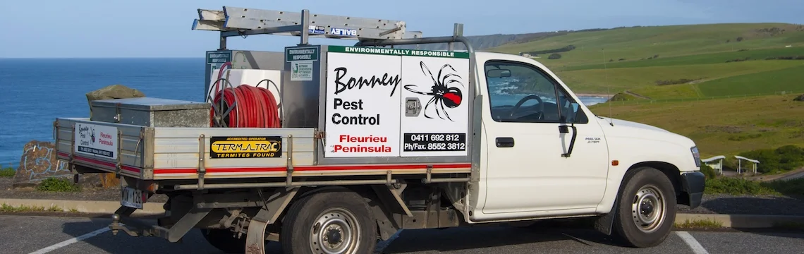bonney-what-we-do.jpg