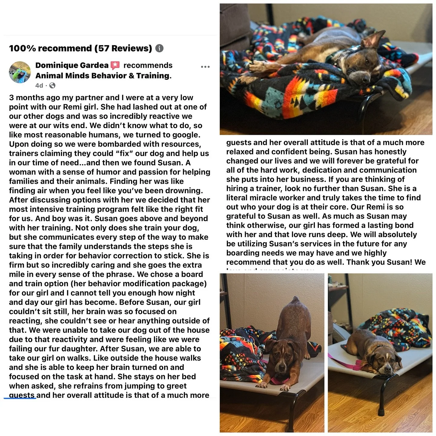 Always grateful for clients willing to do the work 💕