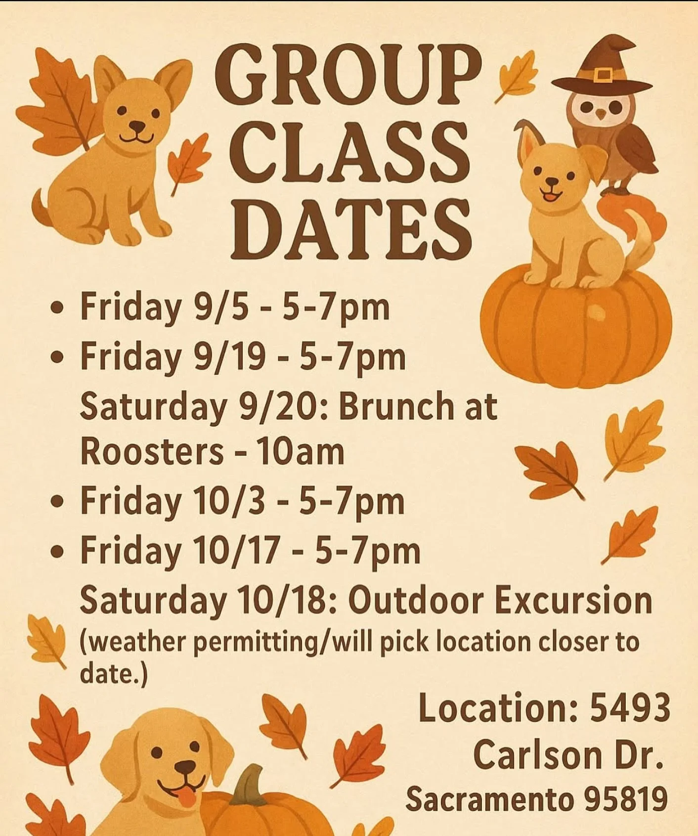 Updated Group Dates! 

While these classes are for already established clients looking to continue practicing around distractions, I am considering putting together a beginning group class if there&rsquo;s enough interest. If that&rsquo;s something y