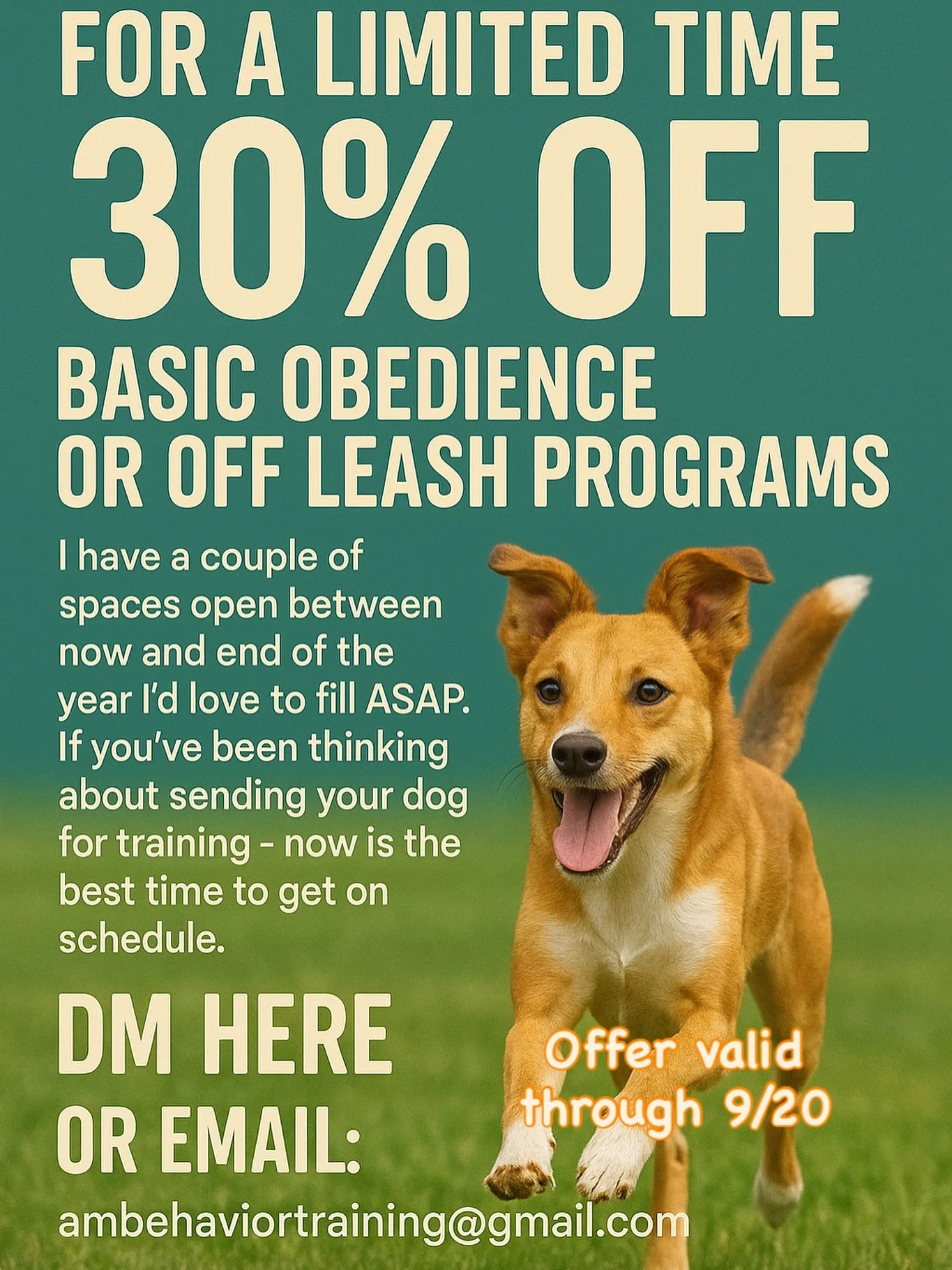 Contact here or email ambehaviortraining@gmail.com for further details!