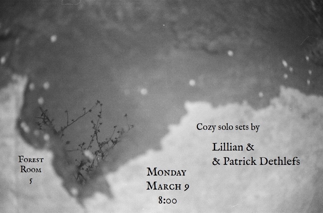 Patrick Dethlefs &amp; Lillian / Solo Sets @ Forest Room 5