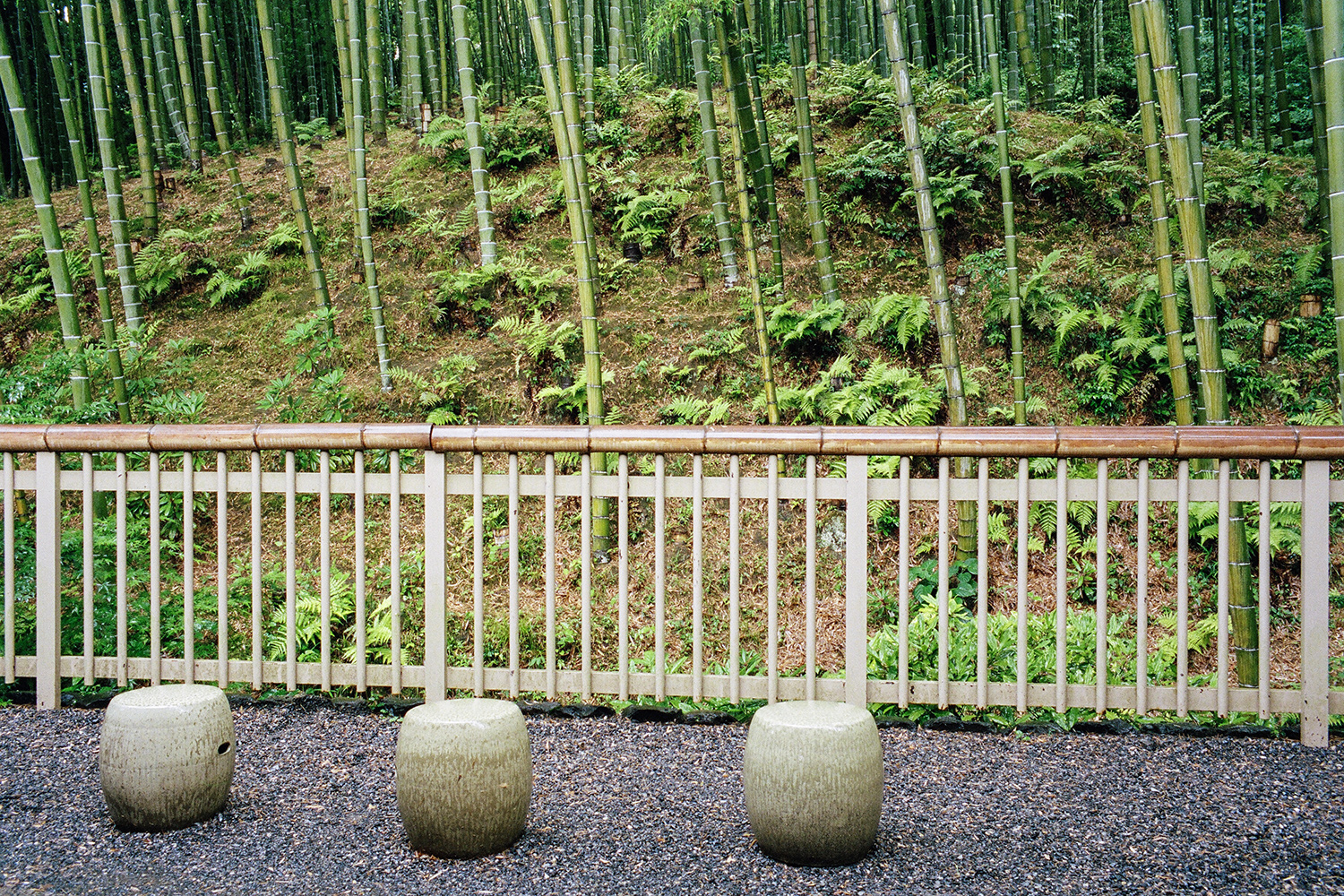  Arashiyama Grove Kyoto 4 / 20 