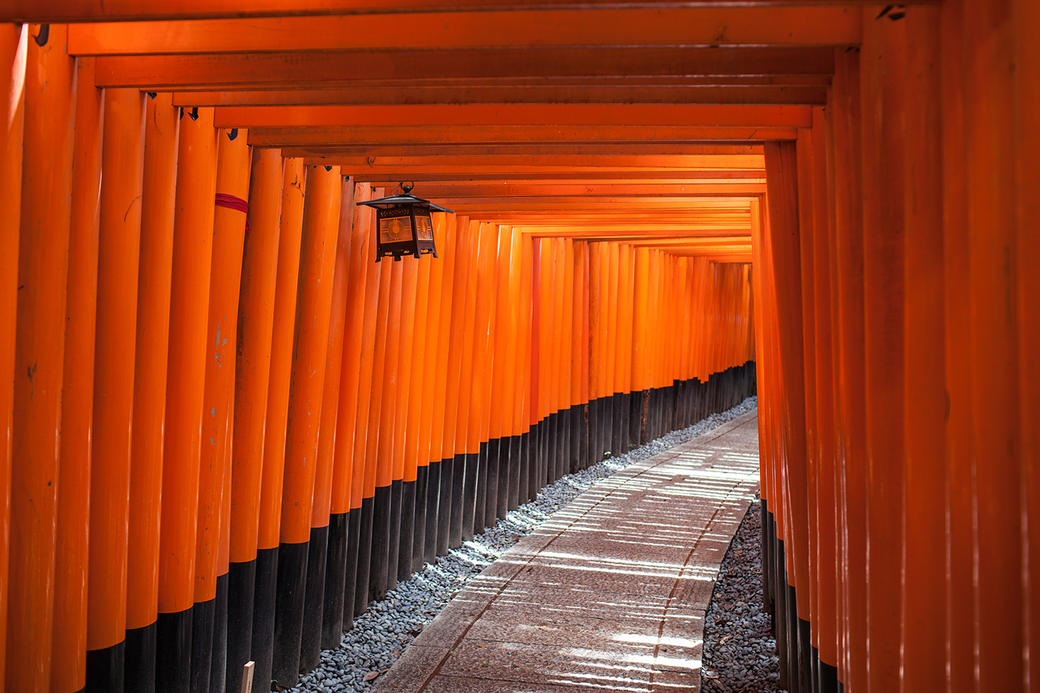  Fushimi Inari Shrine Kyoto 9 / 20 