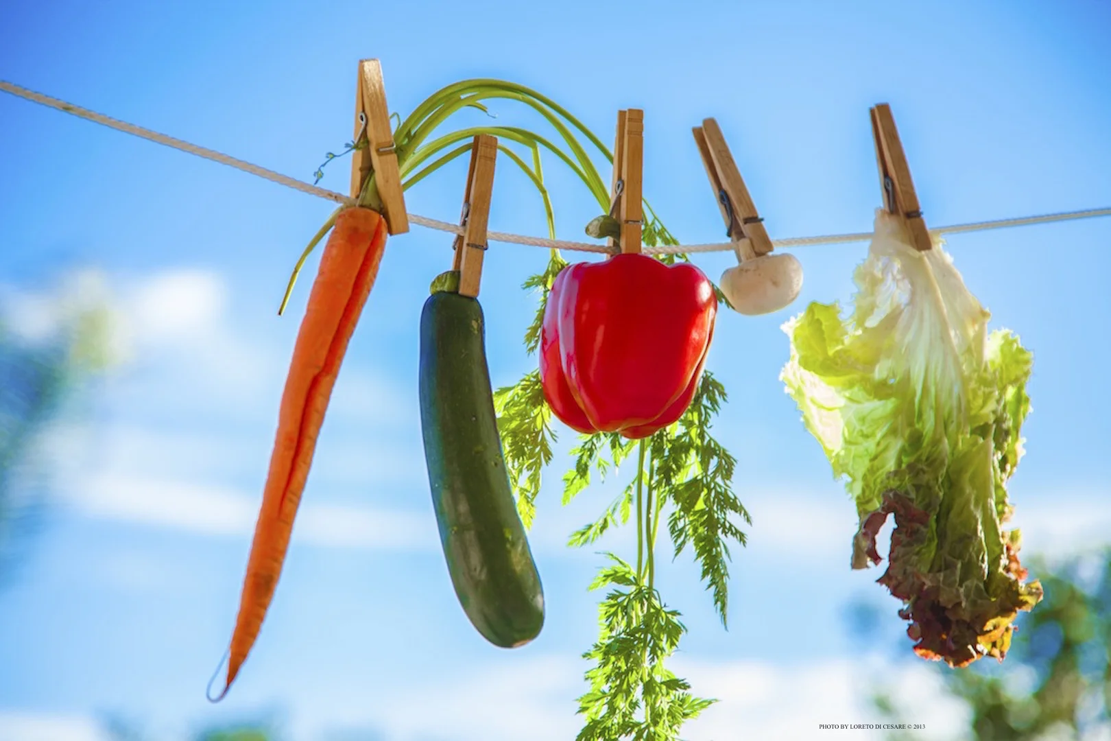 Veggies 2.jpg