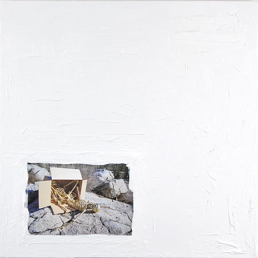 Grant me Shelter 2013 Acrylic paint and digital print on canvas 24x24 