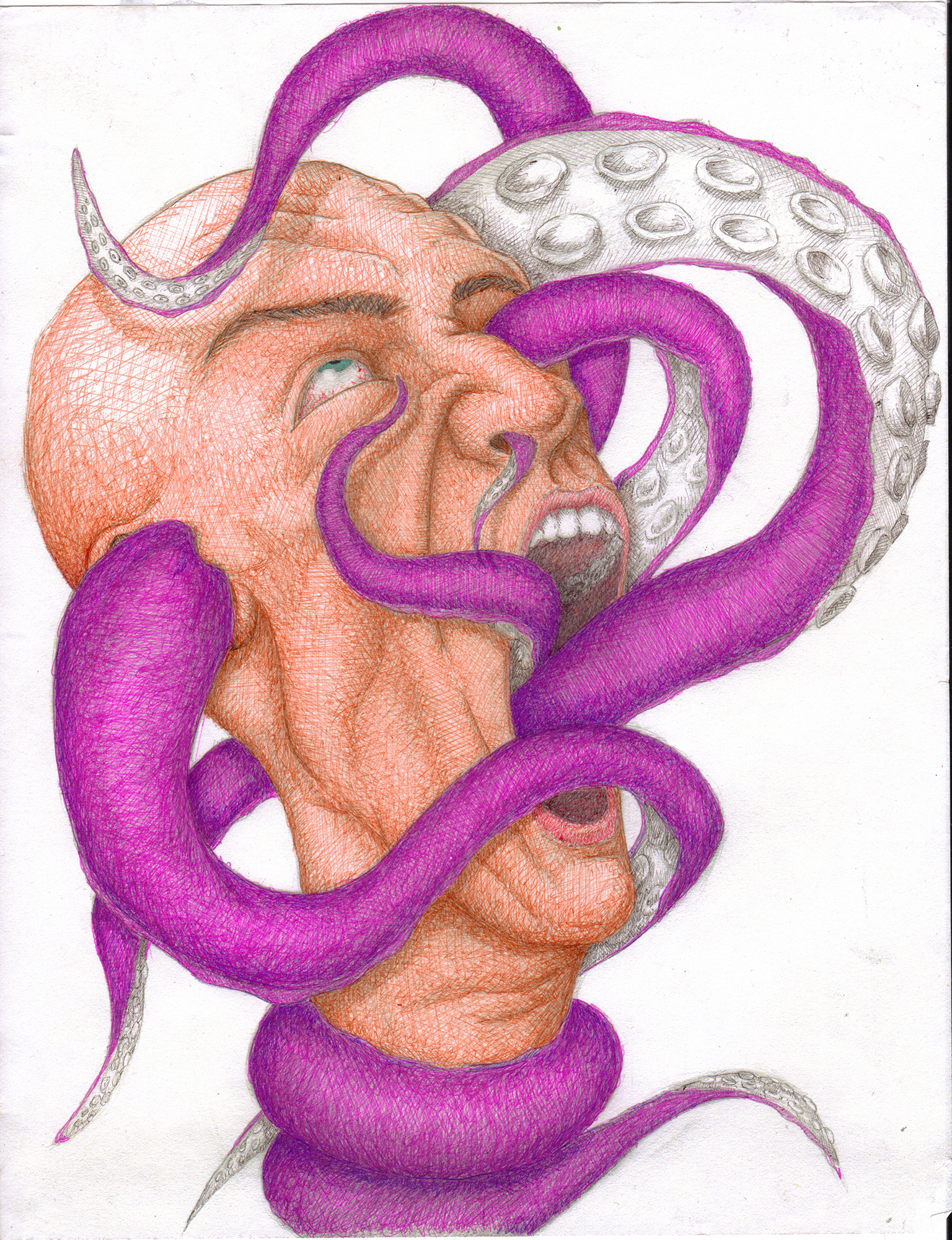   Don't Eat the Calamari Revisited   2010  Ballpoint Pen on Paper  8.5x11 