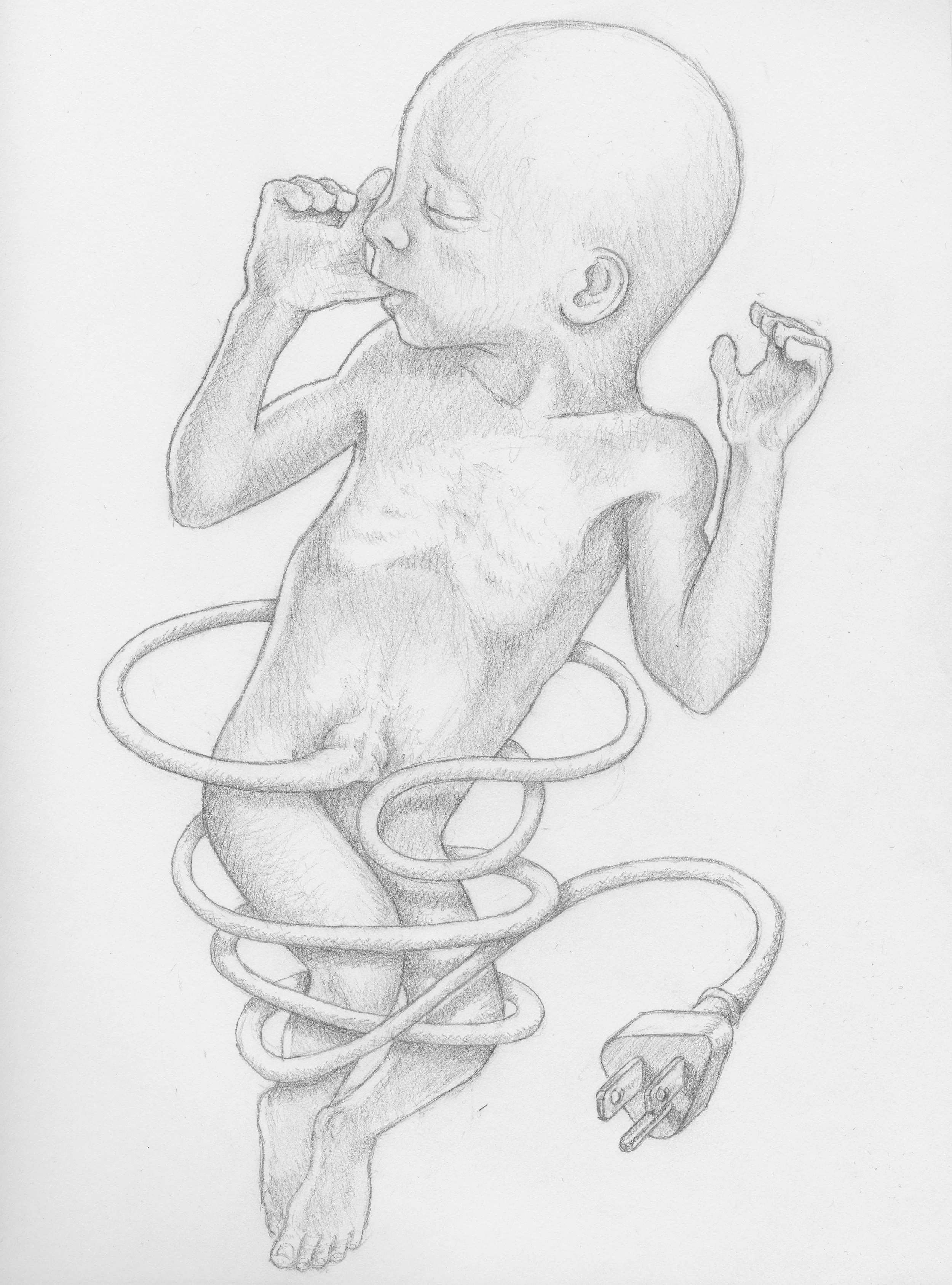 Umbilical 2011 Graphite on Paper 9x12