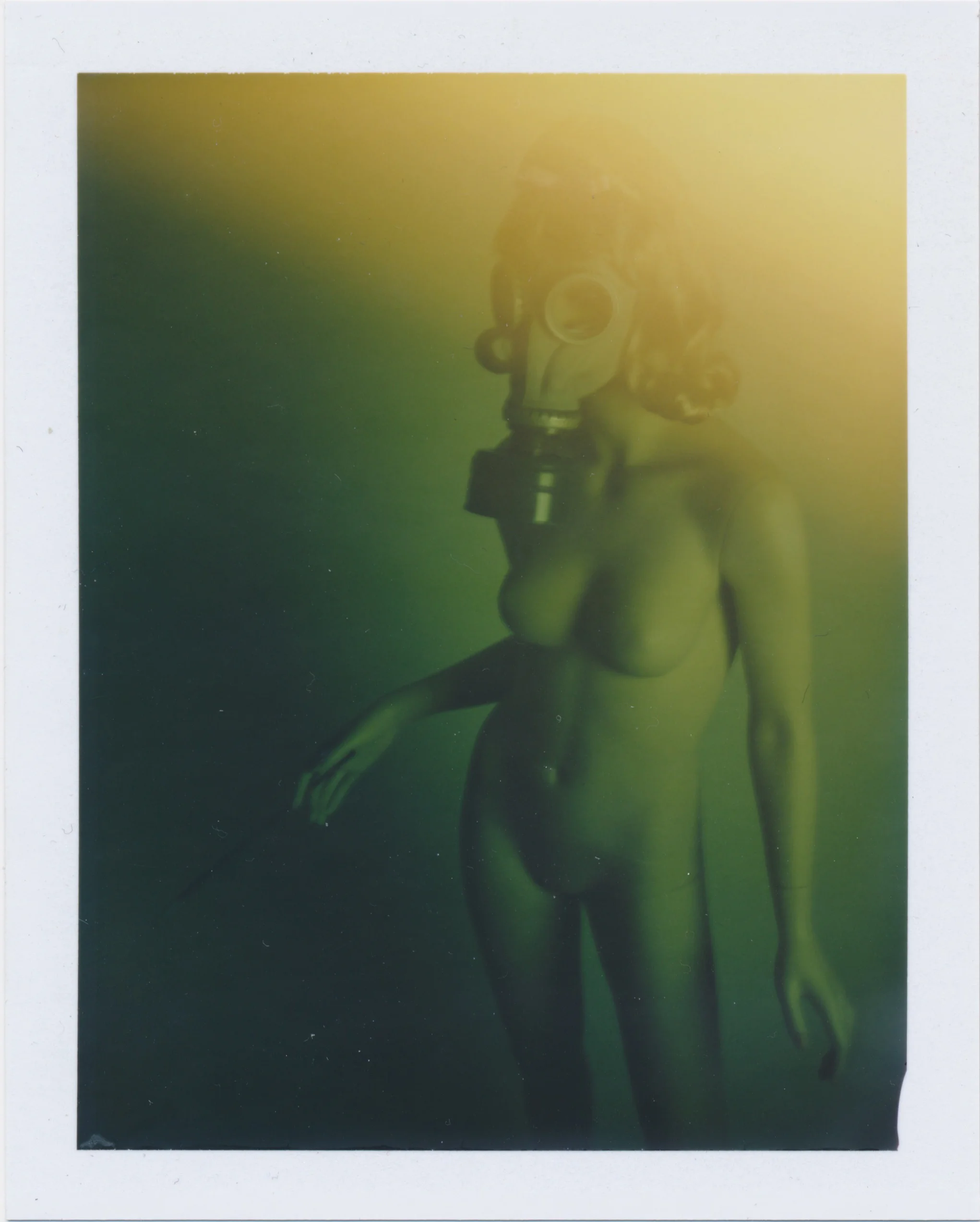The. Mrs 2011 Fuji fp-100c diffusion transfer print