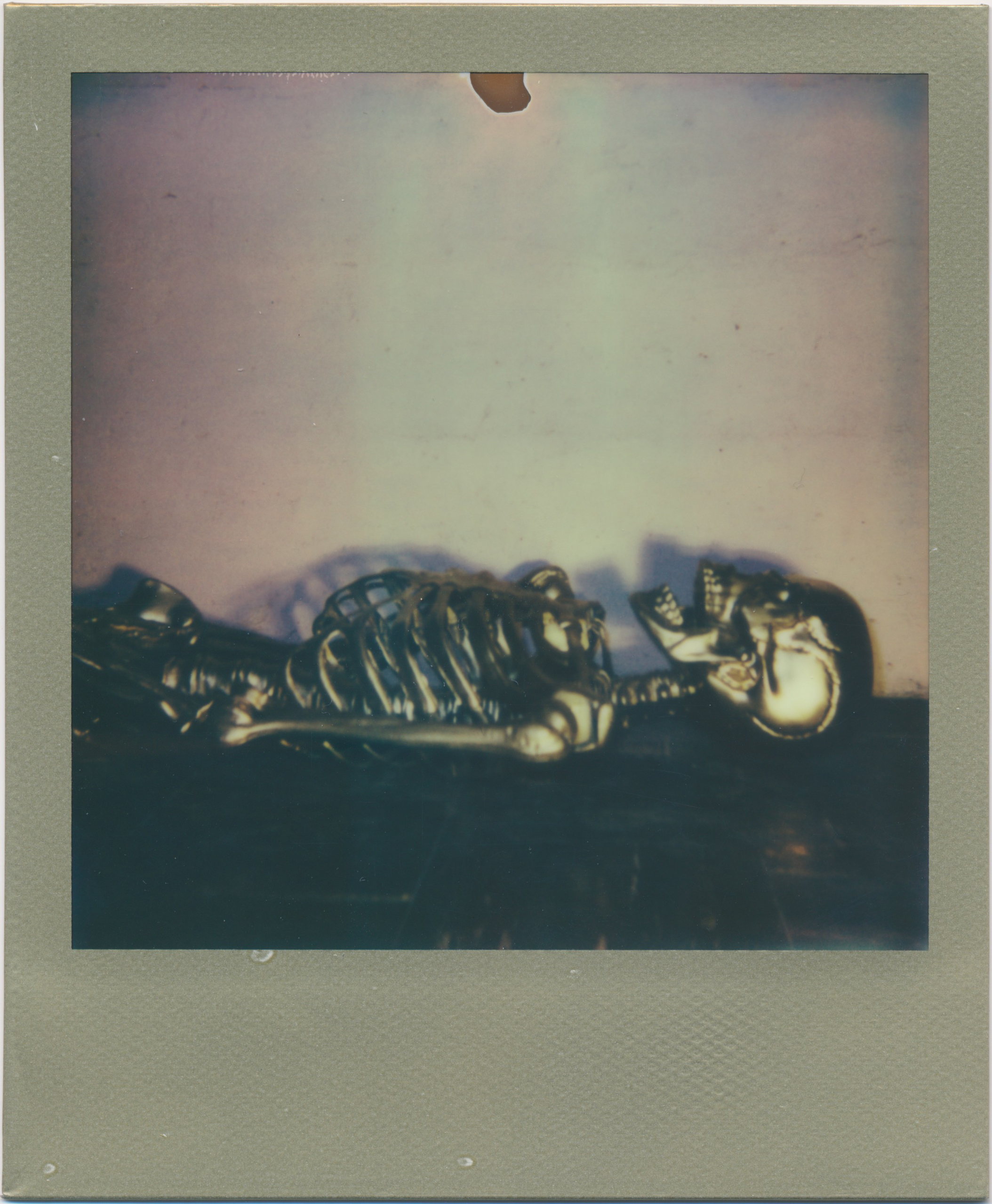   Guilded   2014  Impossible Project 600 Color Shade Gold Edition 