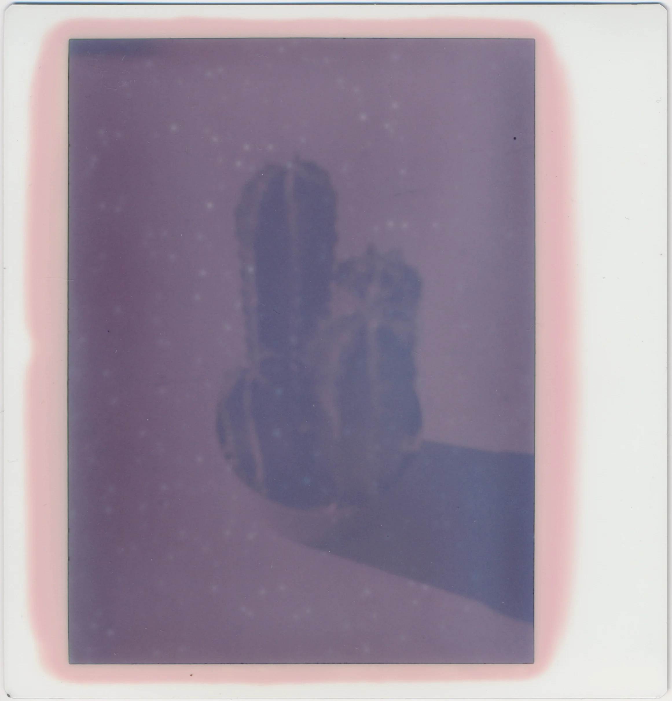 Cactus 2011 Very Expired Kodak PR-10