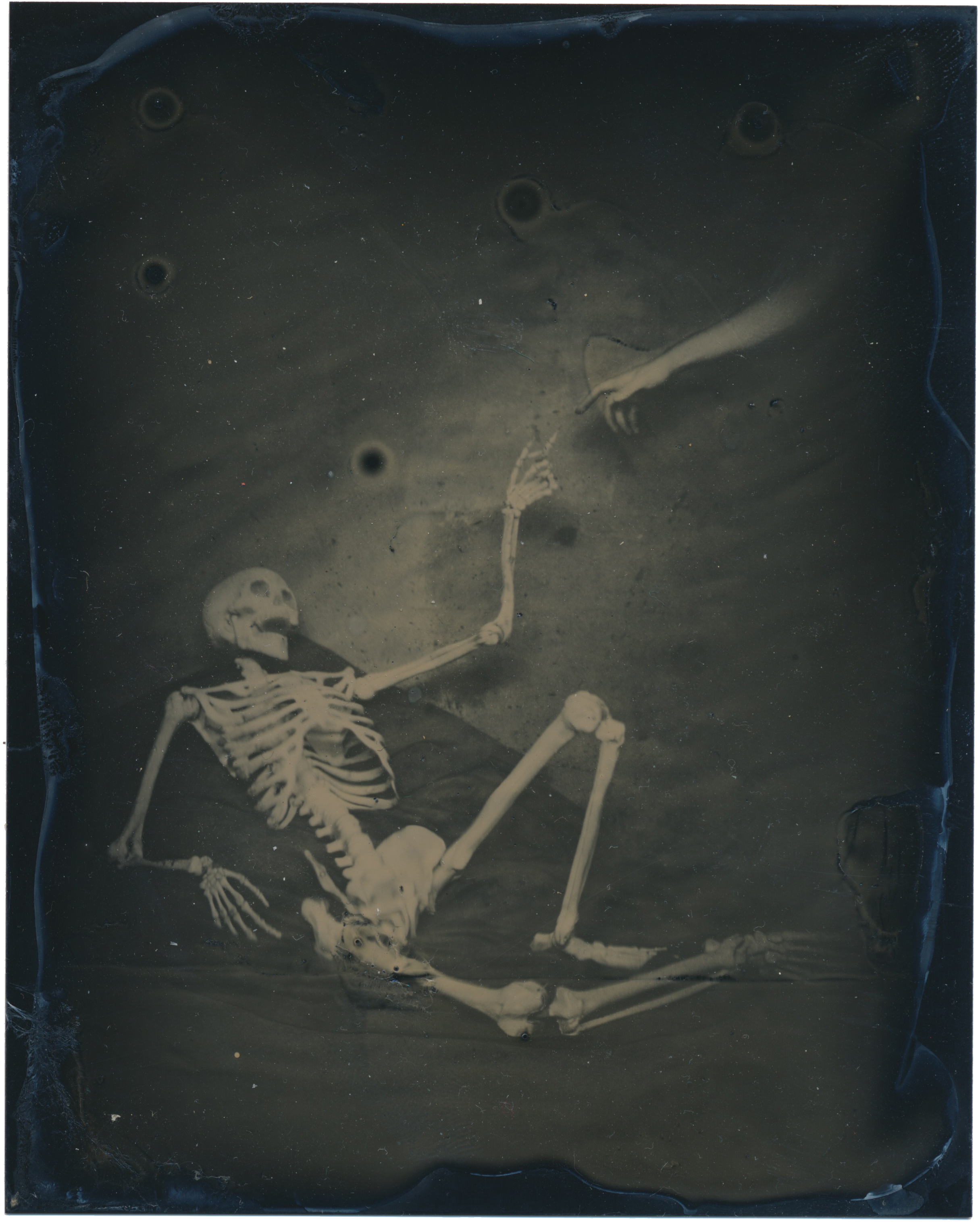   After the Creation of Adam   2015  Tintype  4x5 