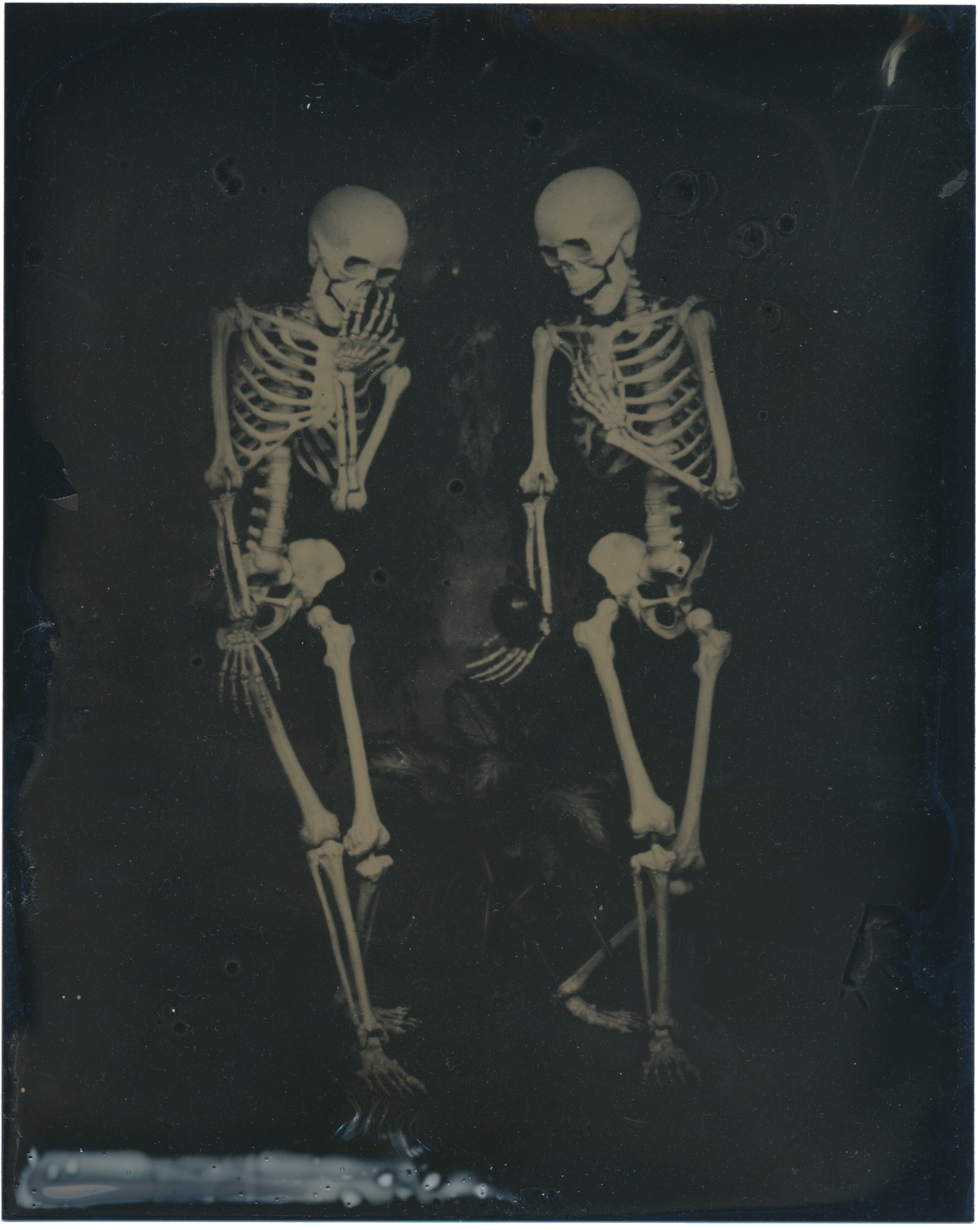   After the Fall of Man   2015  Tintype  4x5 
