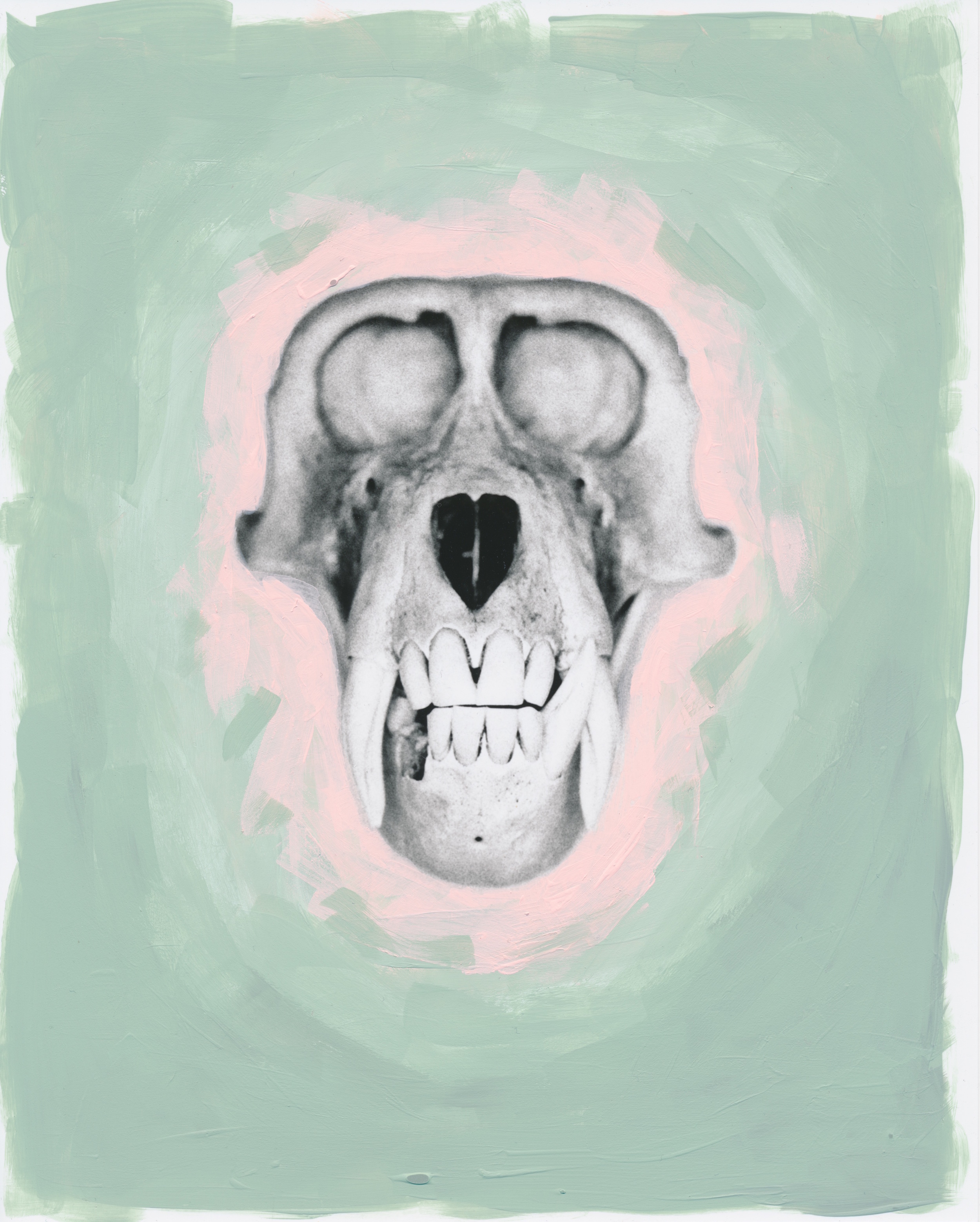 Macaca fascicularis 2015 Acrylic on gelatin silver print 8x10