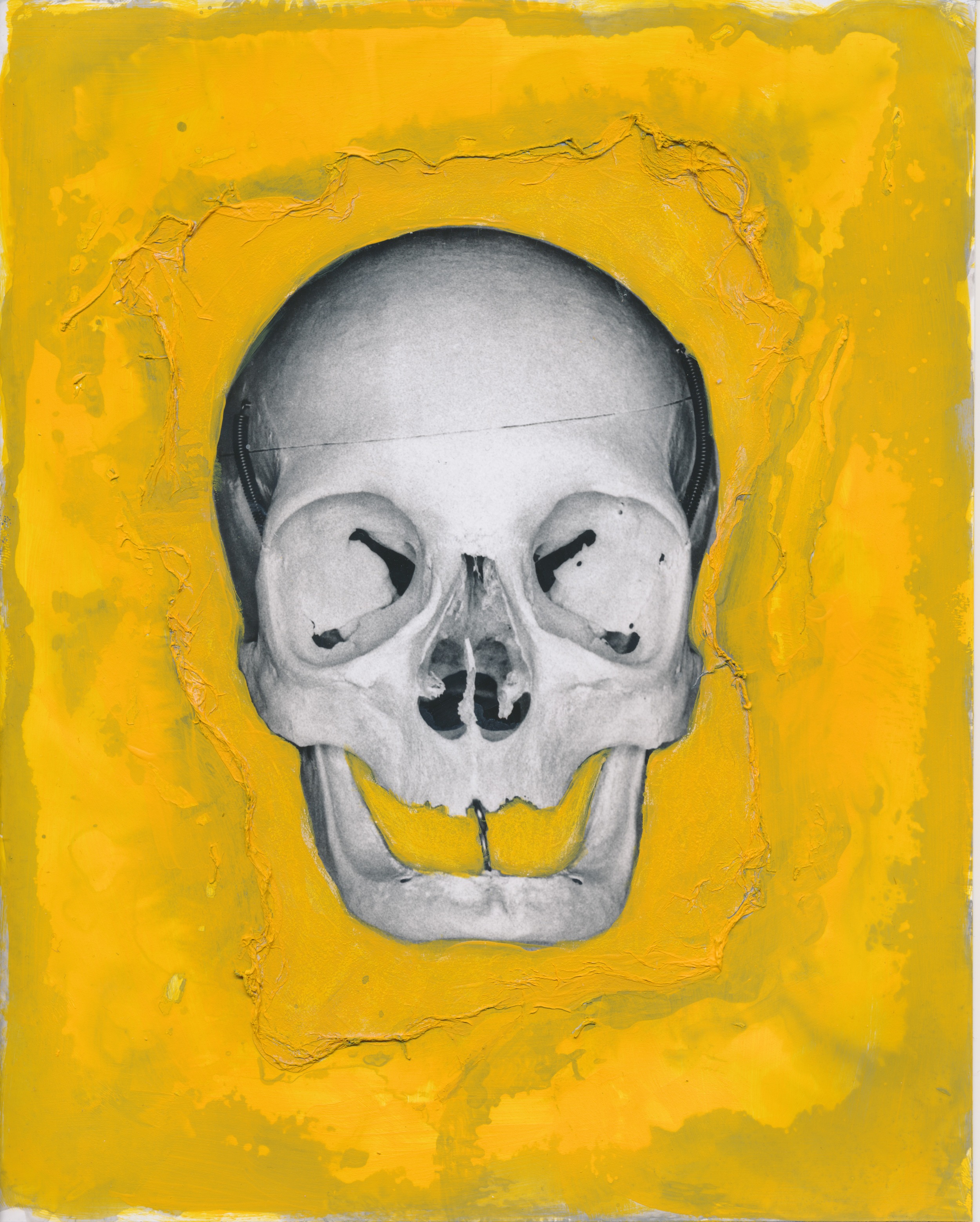 Homo sapien 2015 Acrylic on gelatin silver print 8x10