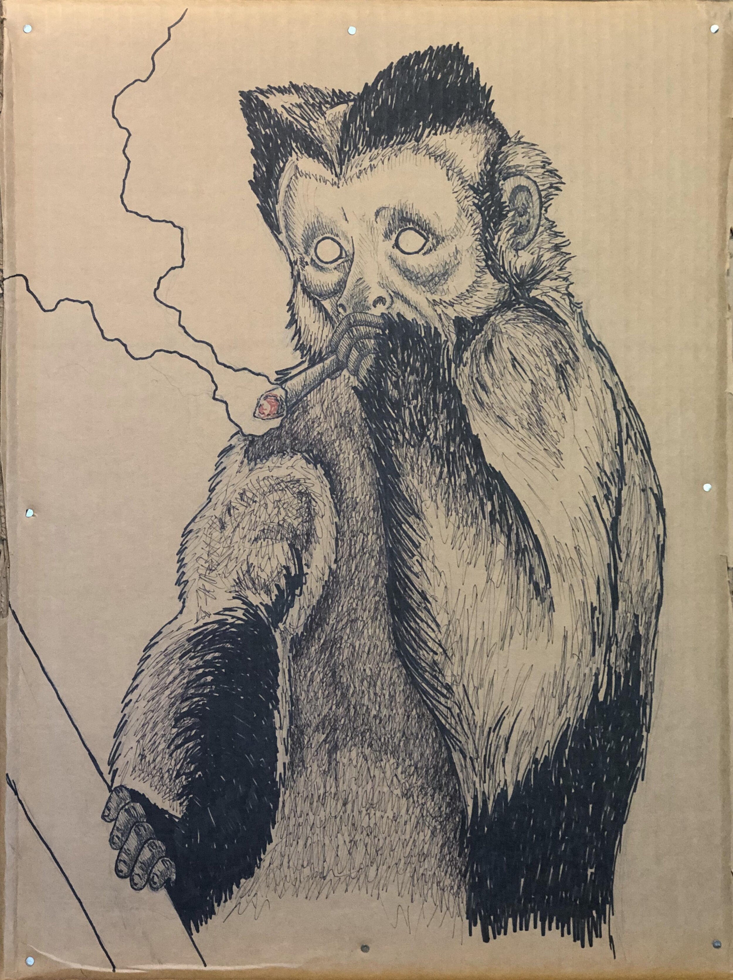  “Capuchin with Joint”  2019  20x27  Sharpie on cardboard 