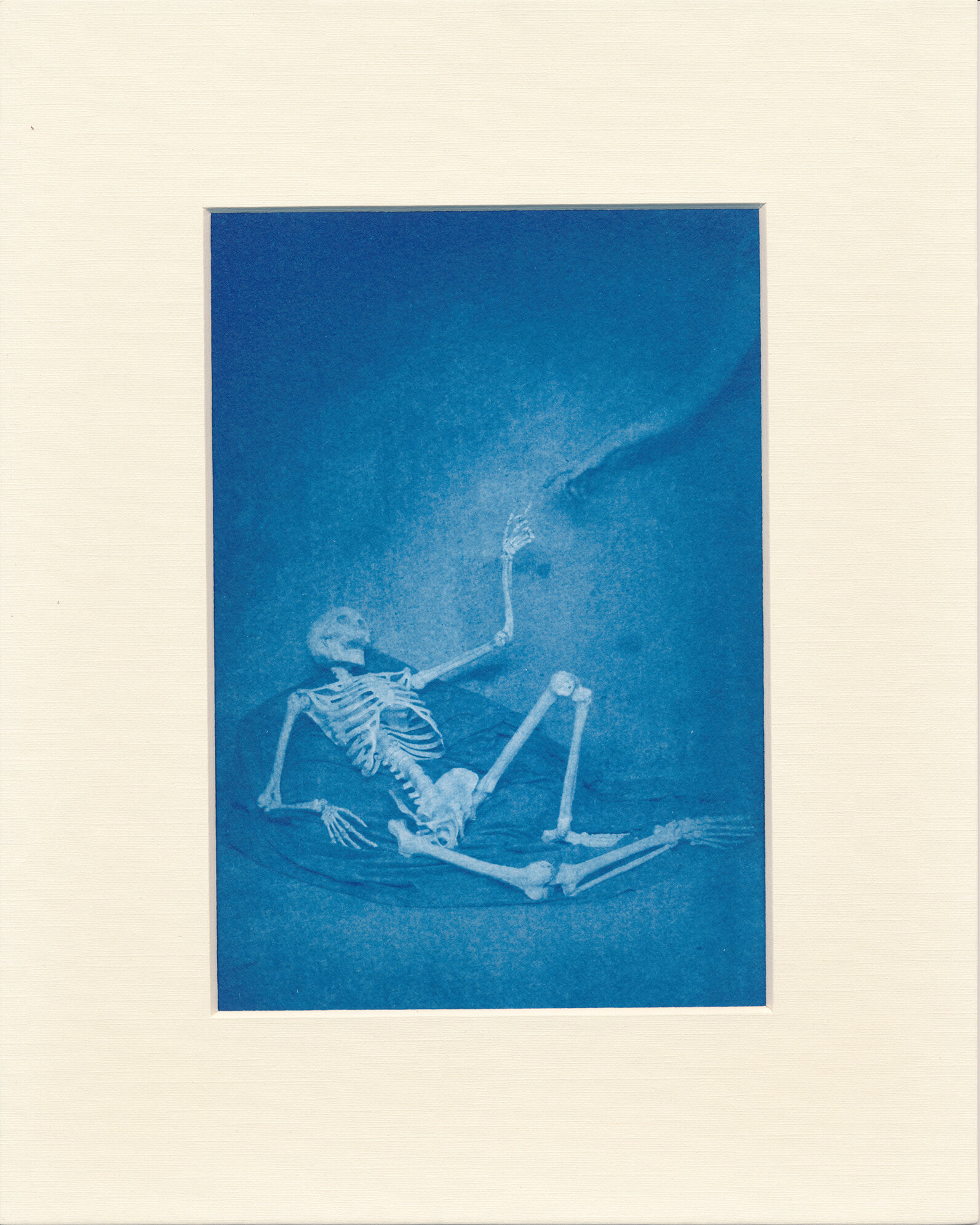  After the Creation of Adam  2015  Cyanotype  5x7 