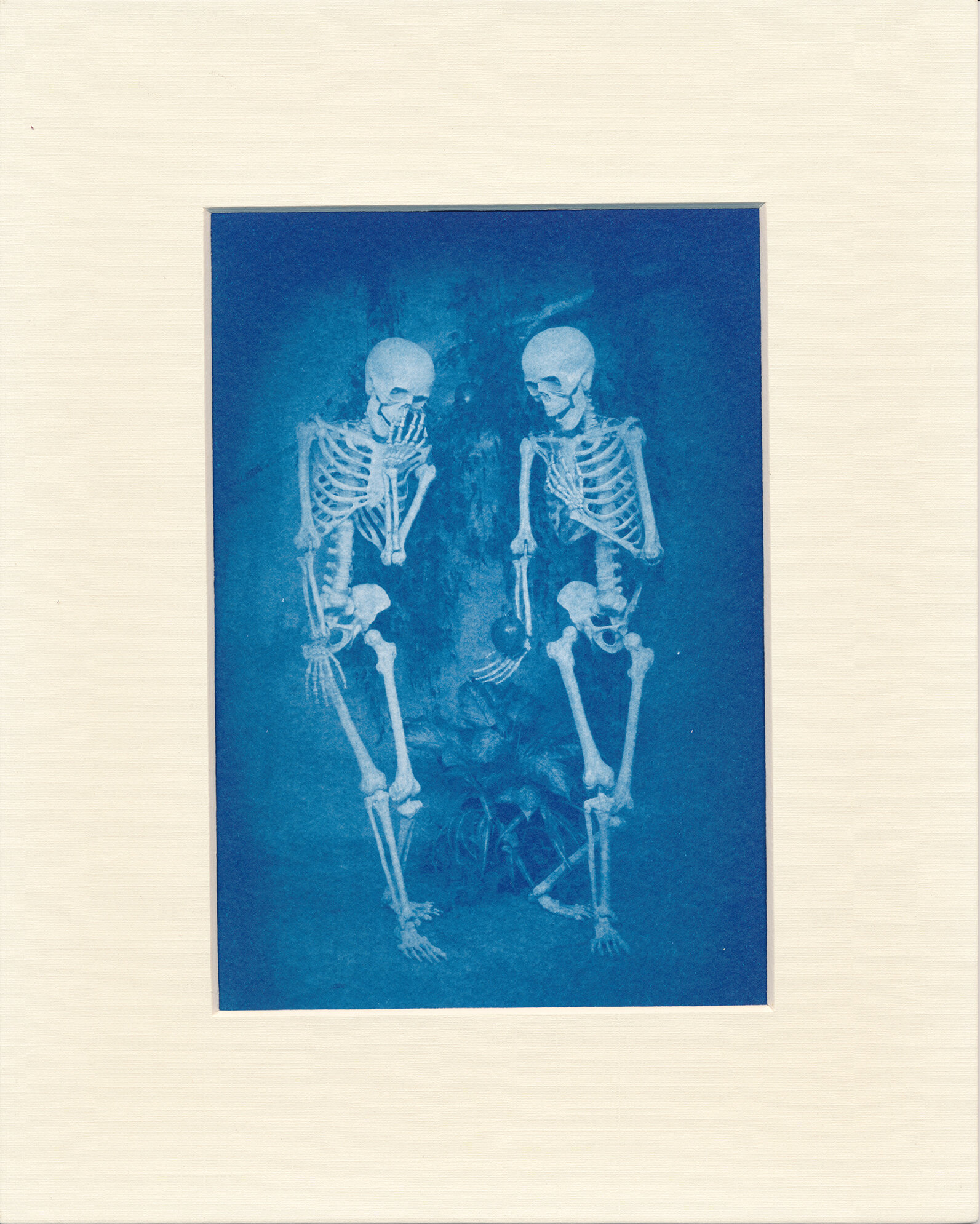  After the Fall of Man  2015  Cyanotype  5x7 