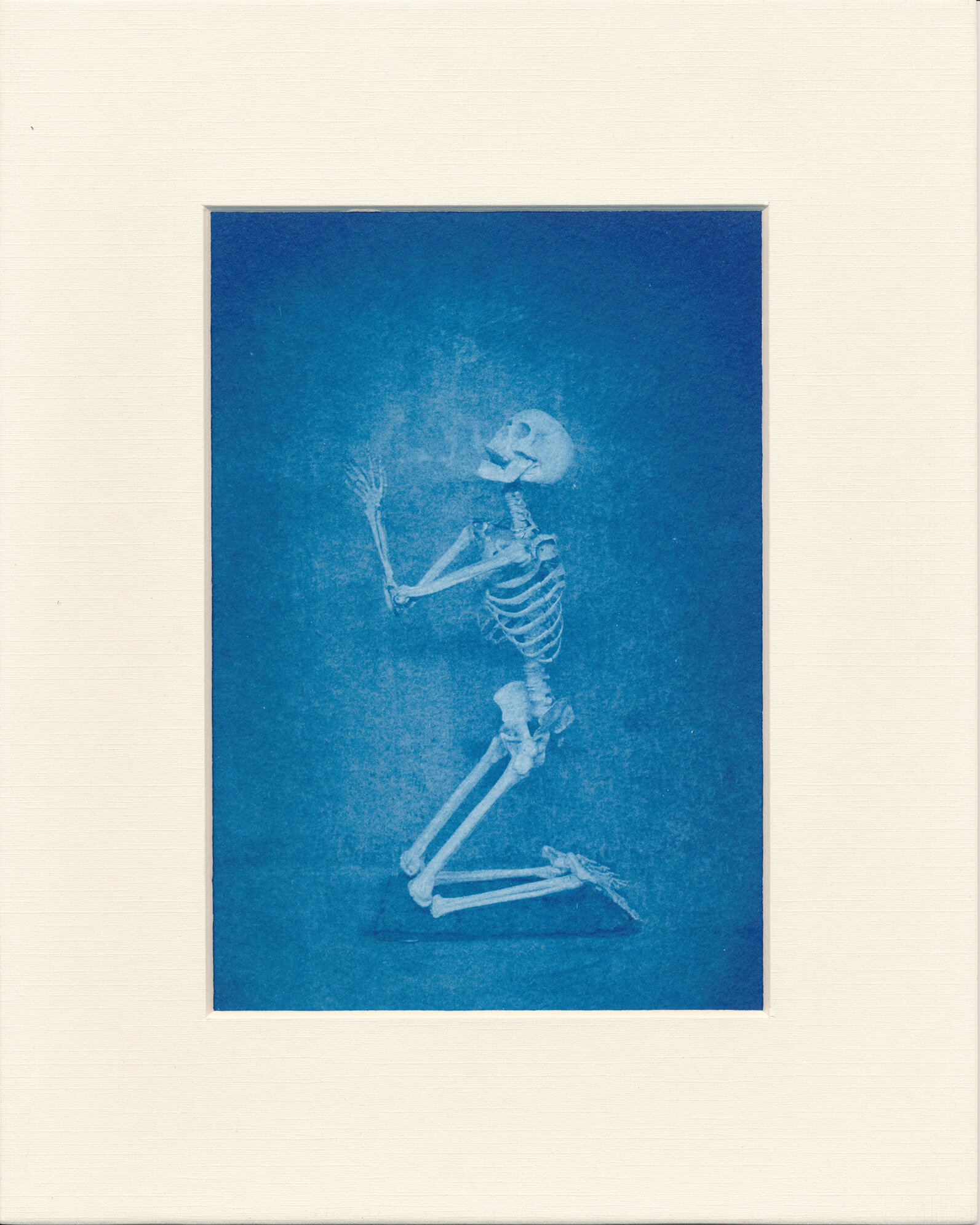  After the Lamentation  2015  Cyanotype  5x7 
