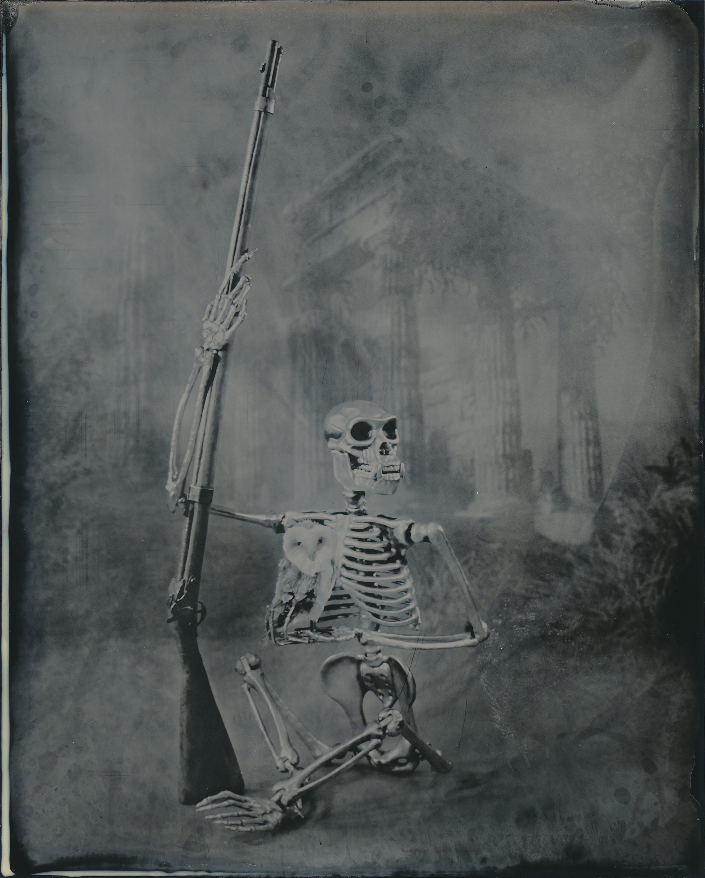   “Athena”   2022  Wet Plate Collodion  8x10 