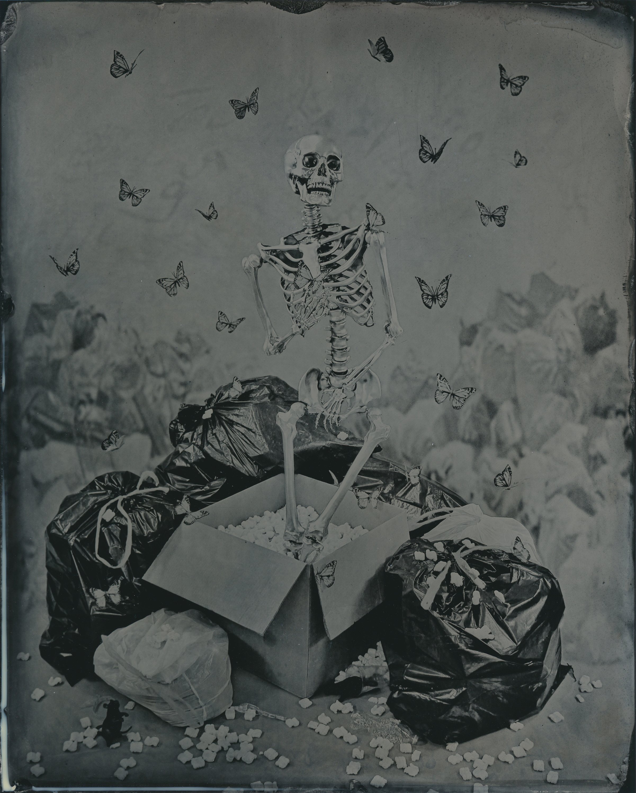   “The Birth of Psyche”   2022  Wet Plate Collodion  8x10 