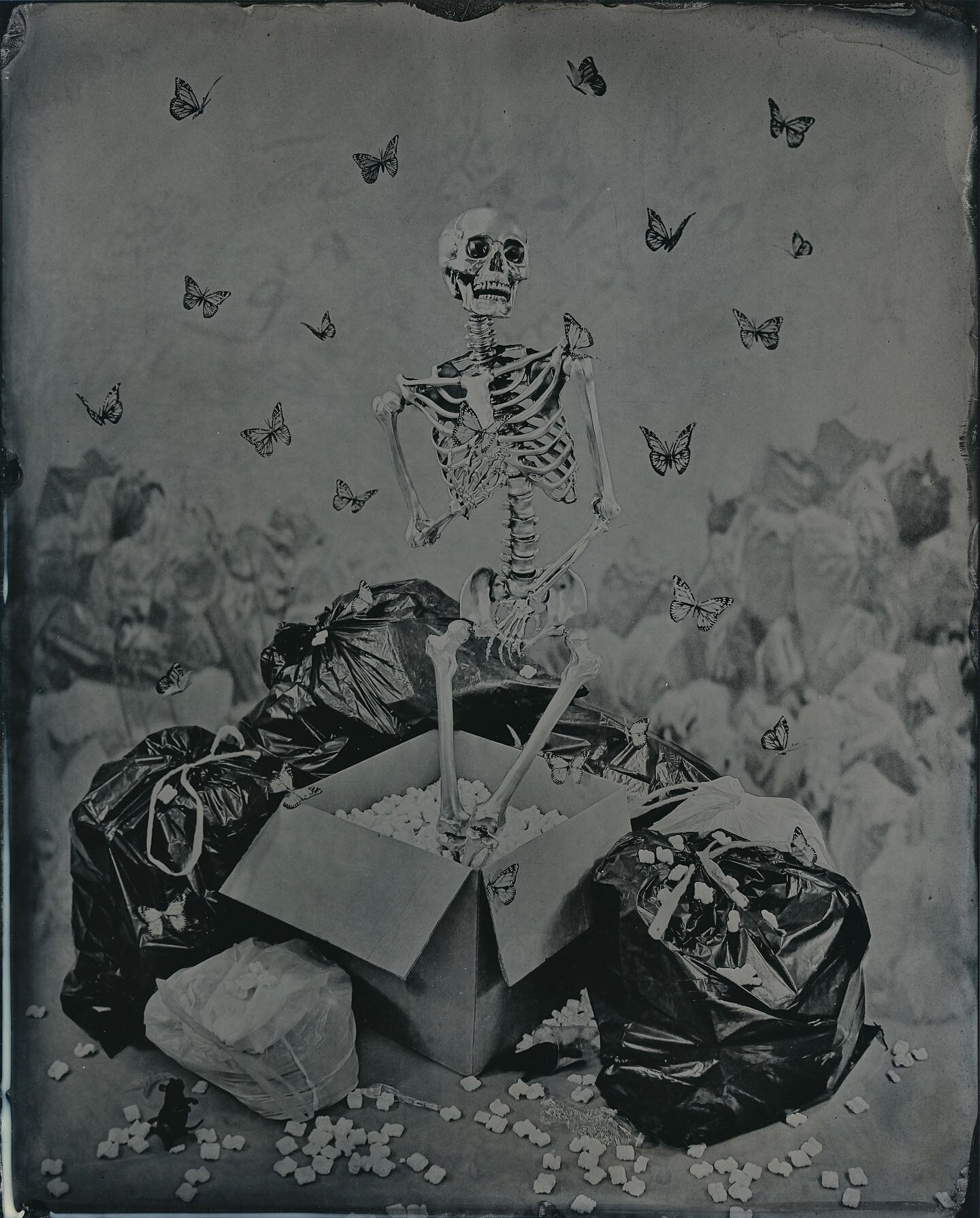 #tbt to last October and the making of The Birth of Psyche.
I was making some additional plates of this image yesterday so it was on my mind.
#wetplatecollodion #wetplatephotography #wetplate #art #photography #darkroomphotography #symbolism #symb