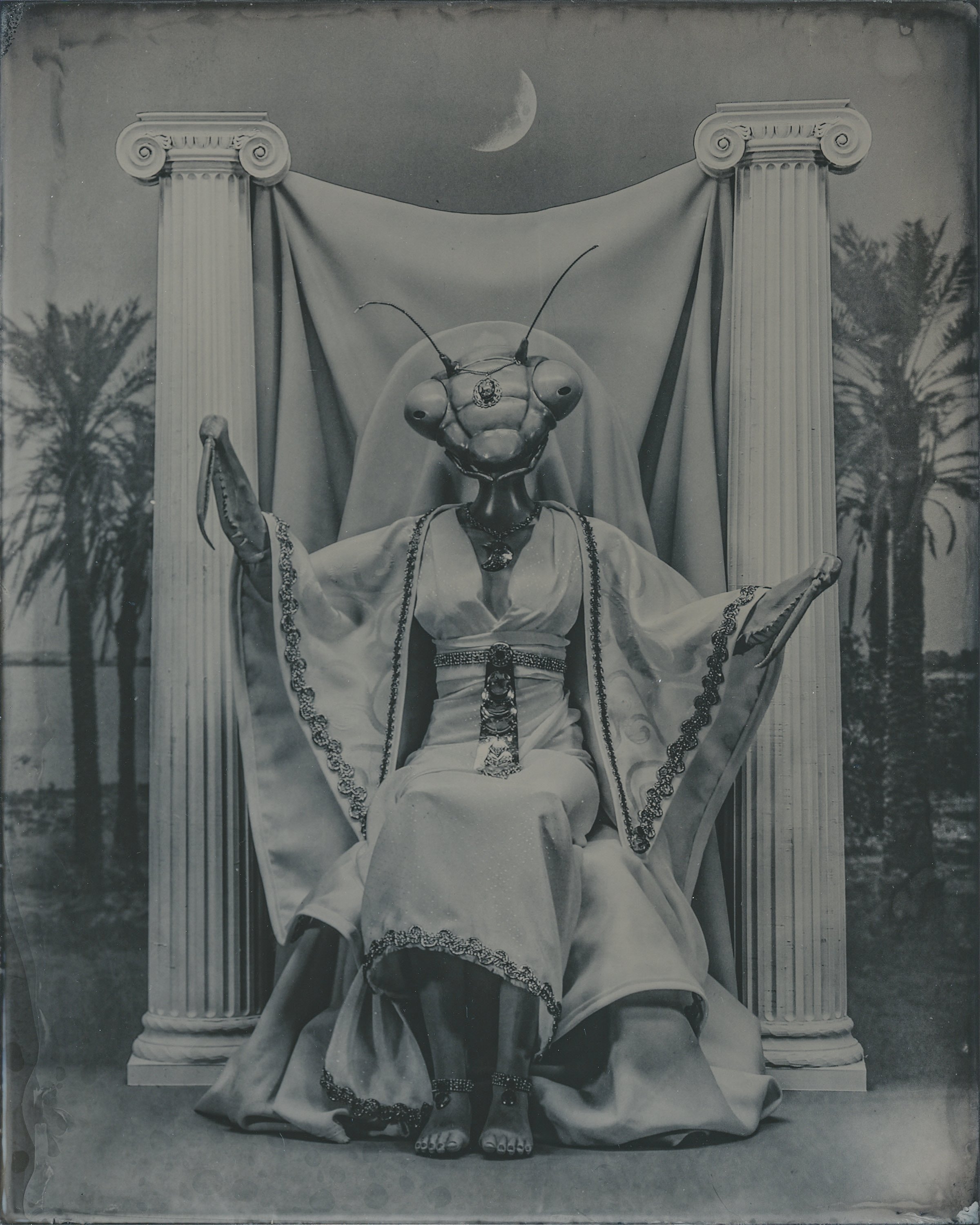 THE HIGH PRIESTESS  8X10  WET PLATE COLLODION (TINTYPE)  2023 