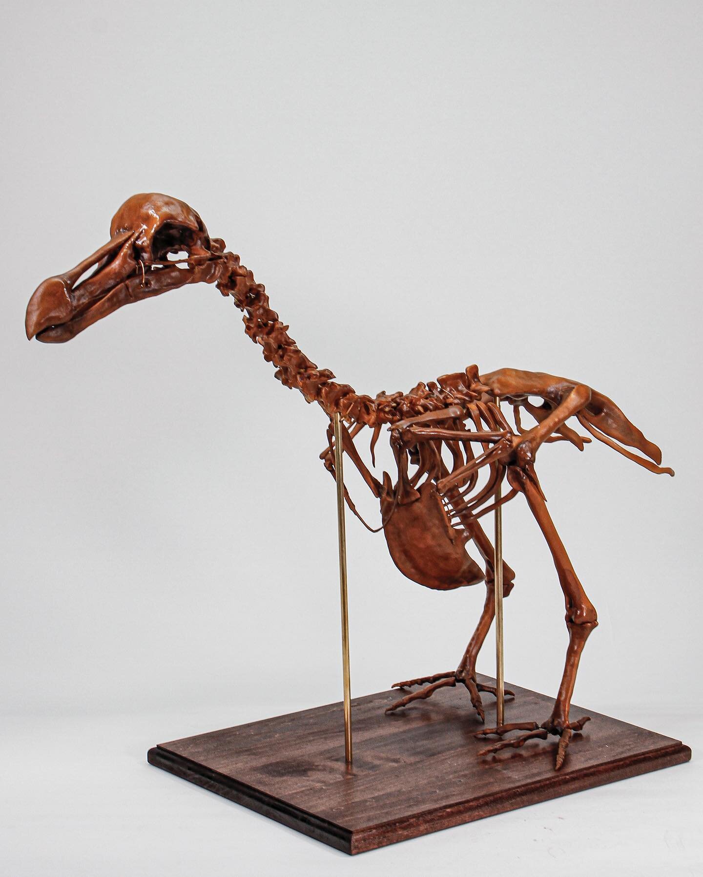 Dodo Skeleton. 

The last big project of the year. Thrilled with how it turned out. 

You can see the making of this piece in the last two reels posted. 

#art #maker #makermovement #propmaker #propmaking #3dprinting #3dprint #3dprinted #dodo #dodosk