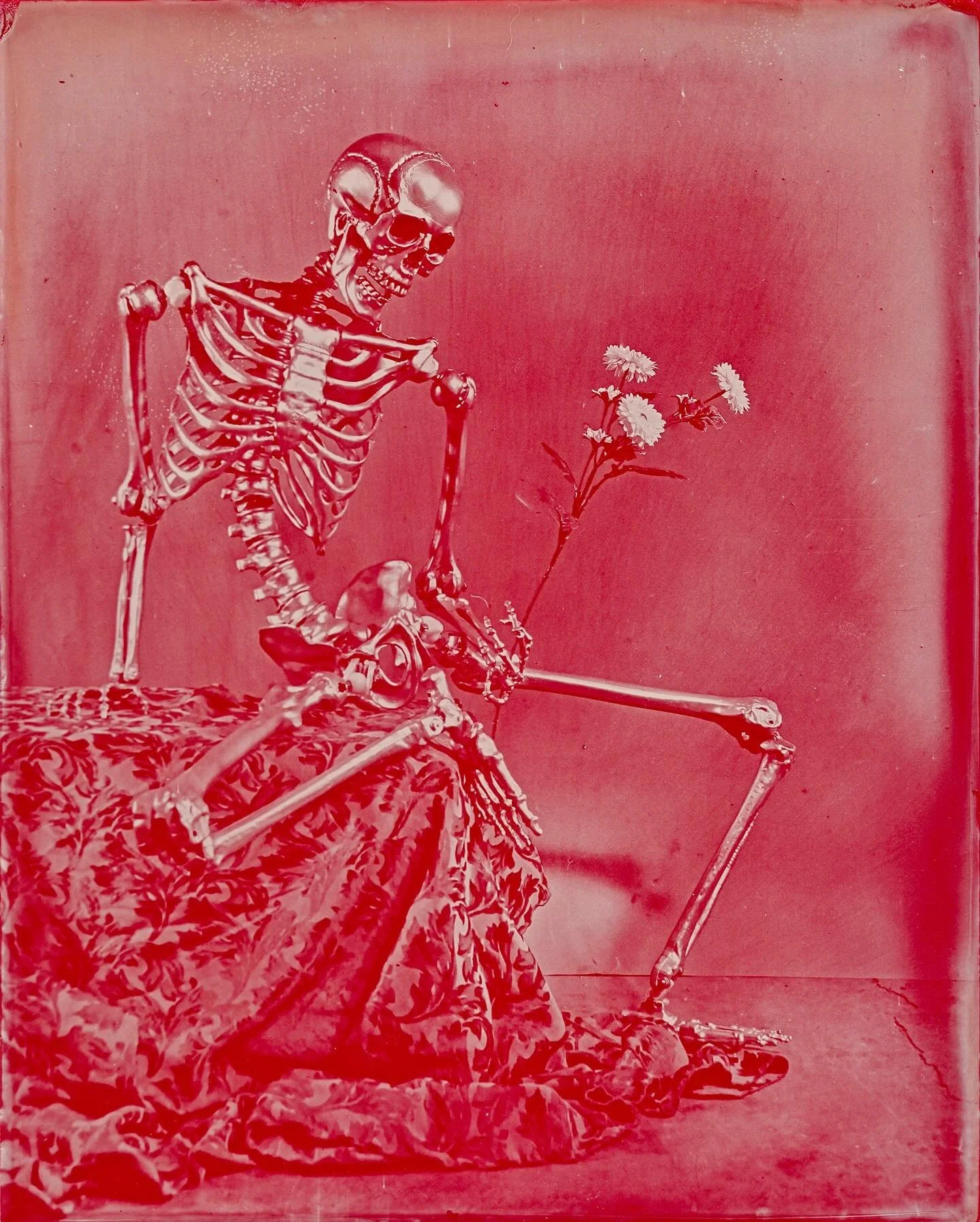 Something I&rsquo;ve been wanting to try for a while. Wet plate on red acrylic. 

#wetplatecollodion