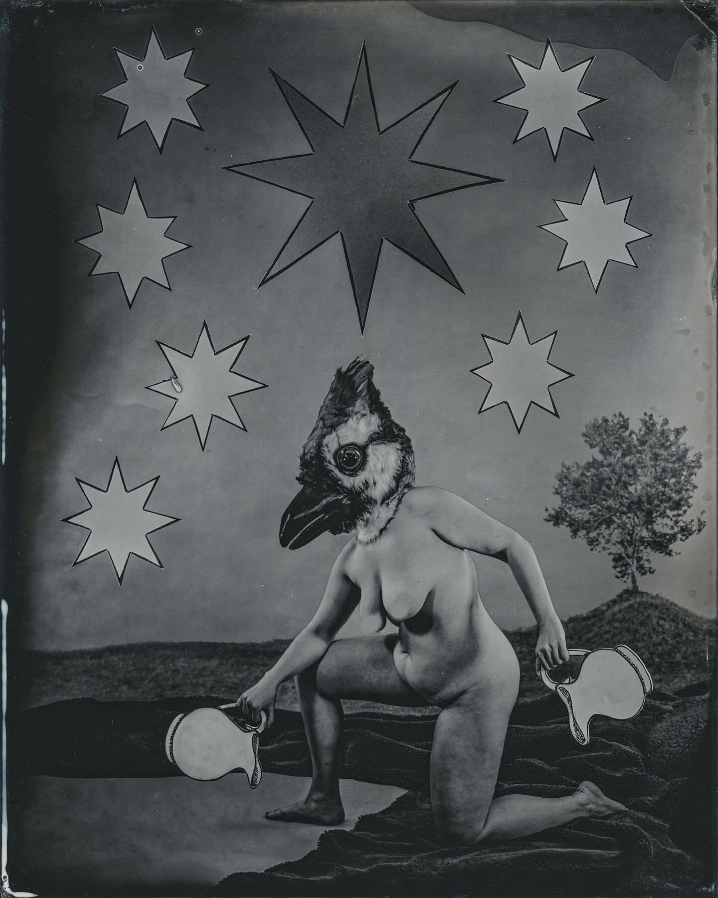The Star (censored)
8x10 Wet Plate Collodion

&ldquo;This bird is a living creature, indicating that the connection between heaven and earth has become a living reality.&rdquo;
 -Sallie Nichols

Of the series, this is the image most influenced by the