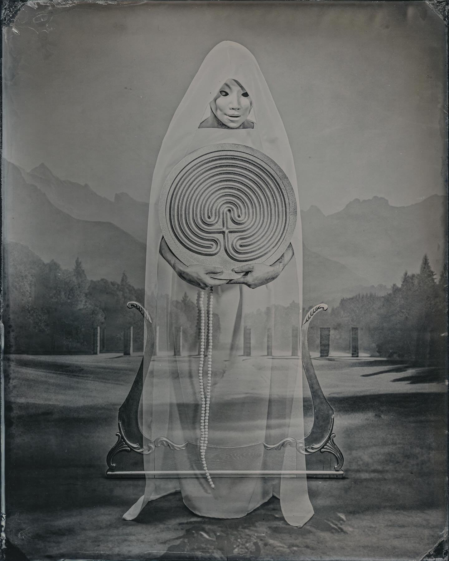 Wheel of Fortune
8x10 Wet Plate Collodion

#wetplatecollodion