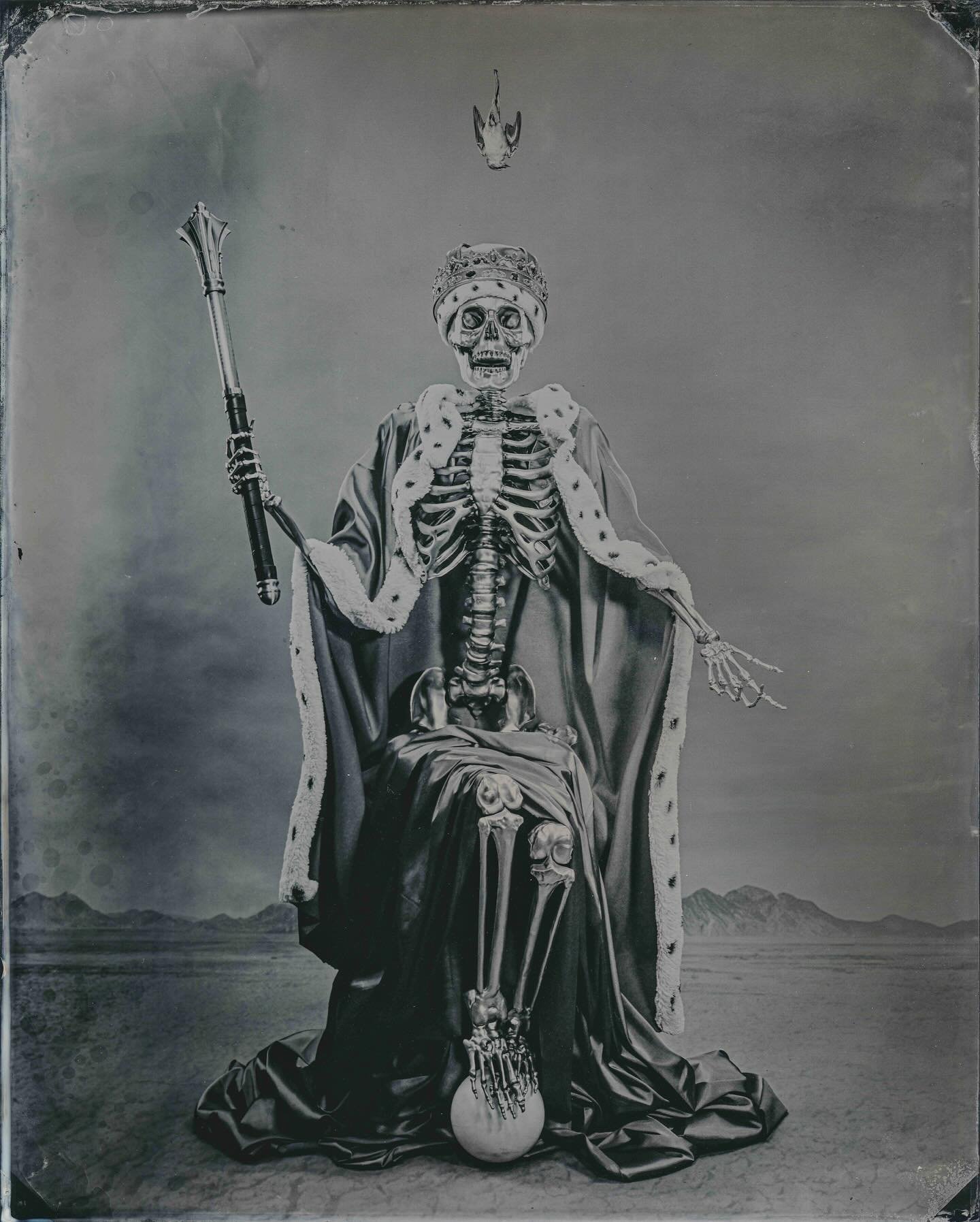 &ldquo;Death&rdquo;
8x10 wet plate collodion

Those who know my portfolio can imagine that for this image I had a number of ideas. The death card is for all intents and purposes a memento mori image. In that line of thought I pulled from traditional 