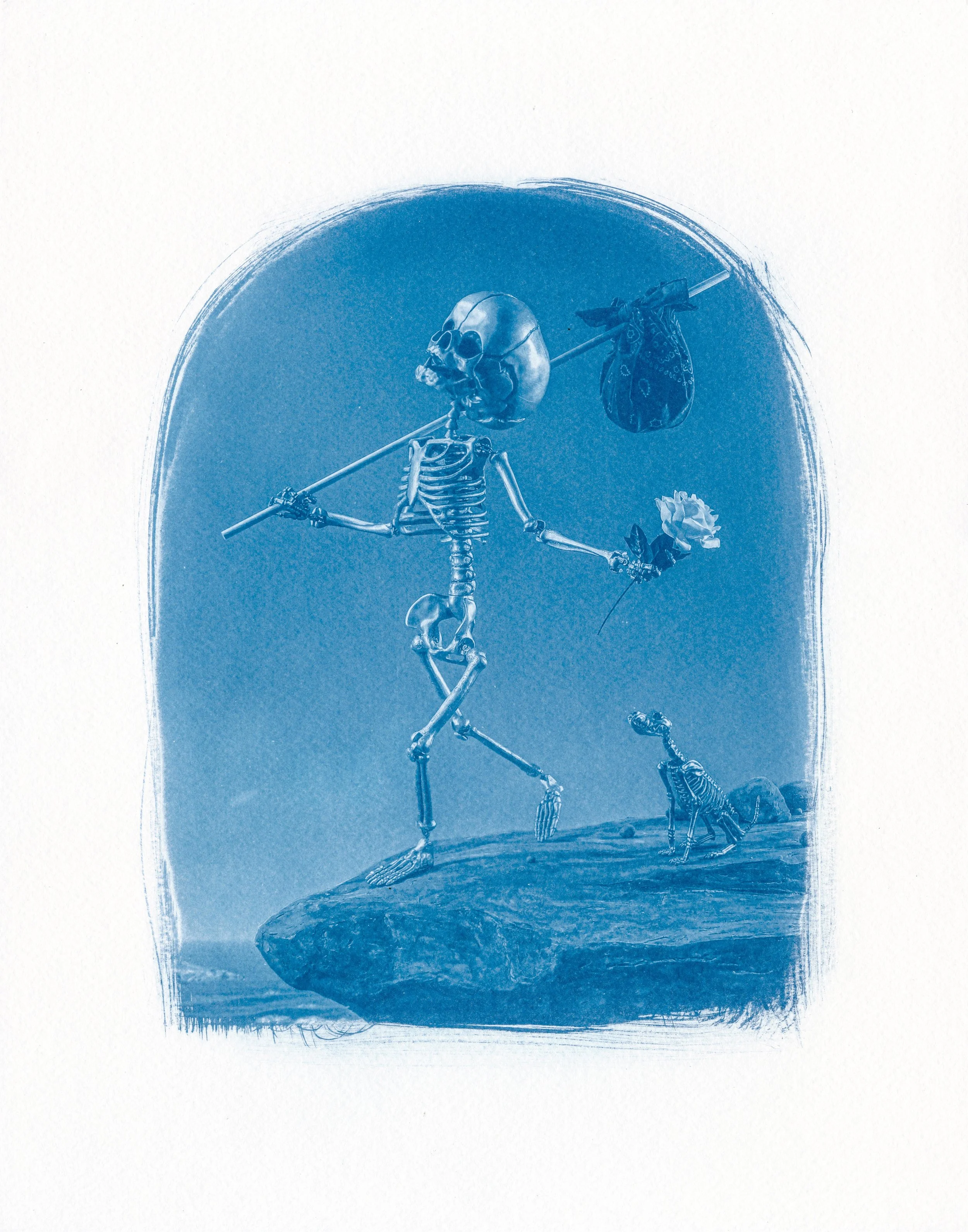 The Fool Cyanotype copy.jpg