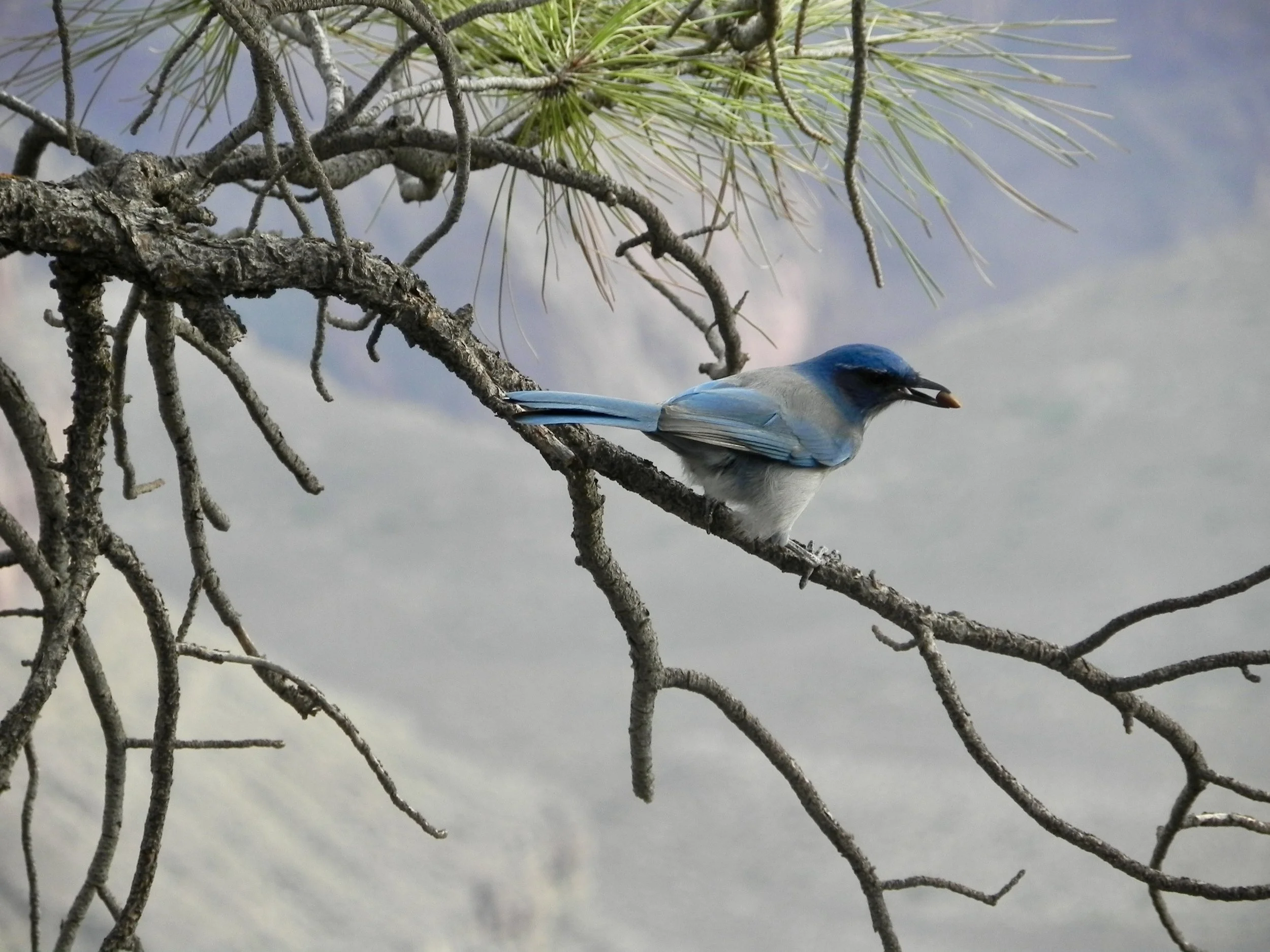 DSCN8796 2.JPG