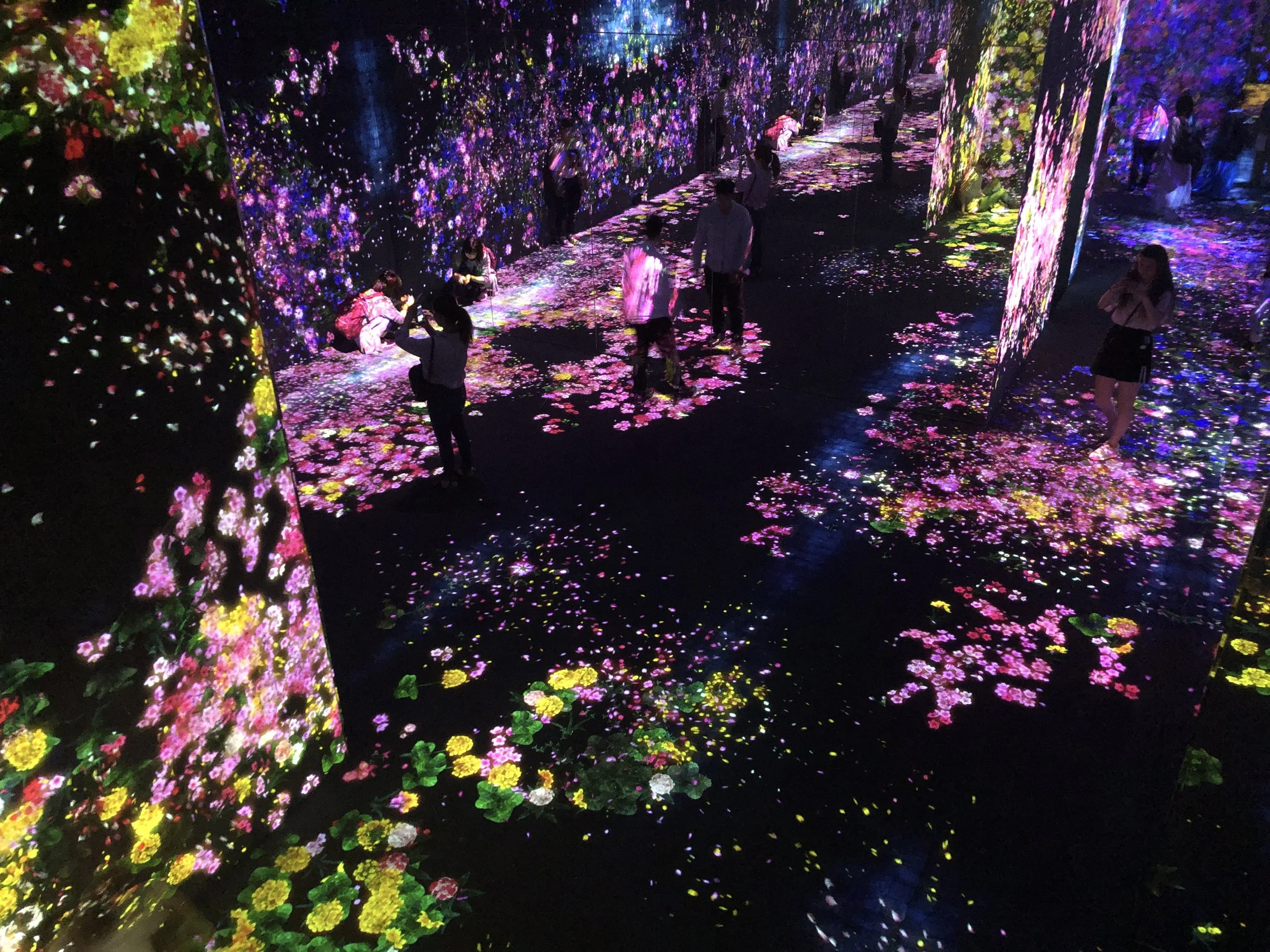 Skip Robot Restaurant and Head Straight to TeamLab Instead